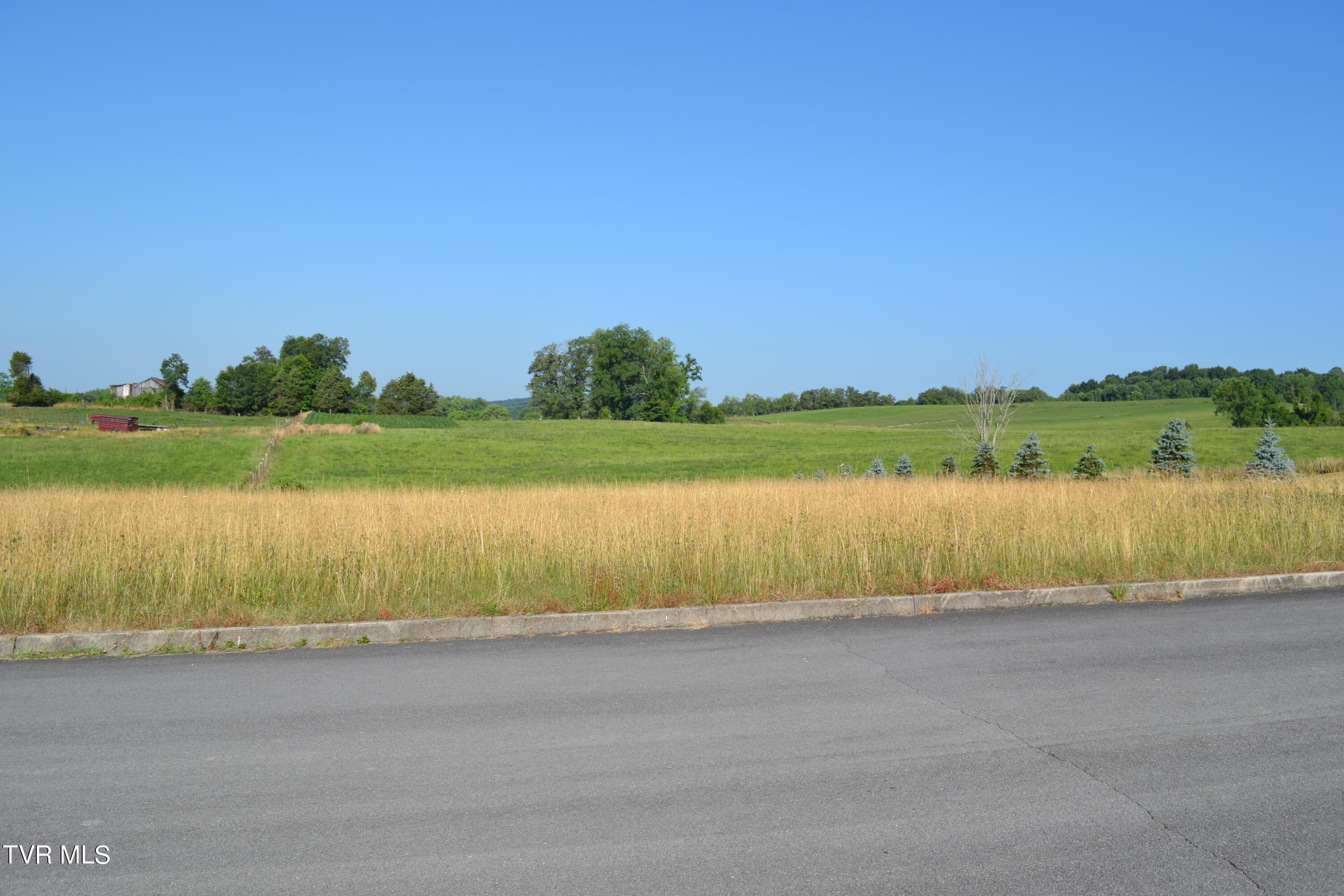 Lot 43 Walnut Grove Drive, Church Hill, Tennessee image 1