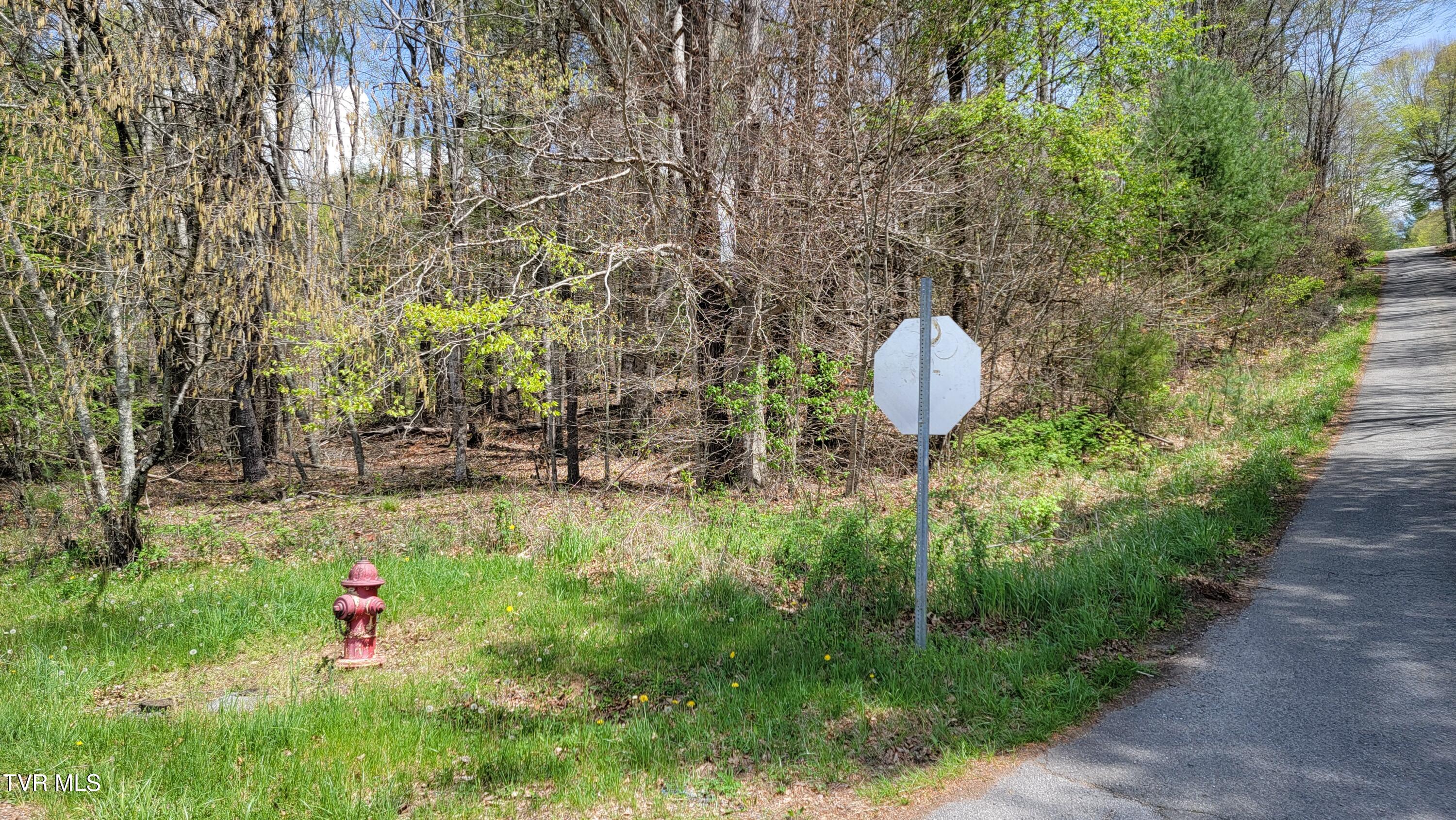 00 E Hillcrest Street, Mountain City, Tennessee image 4