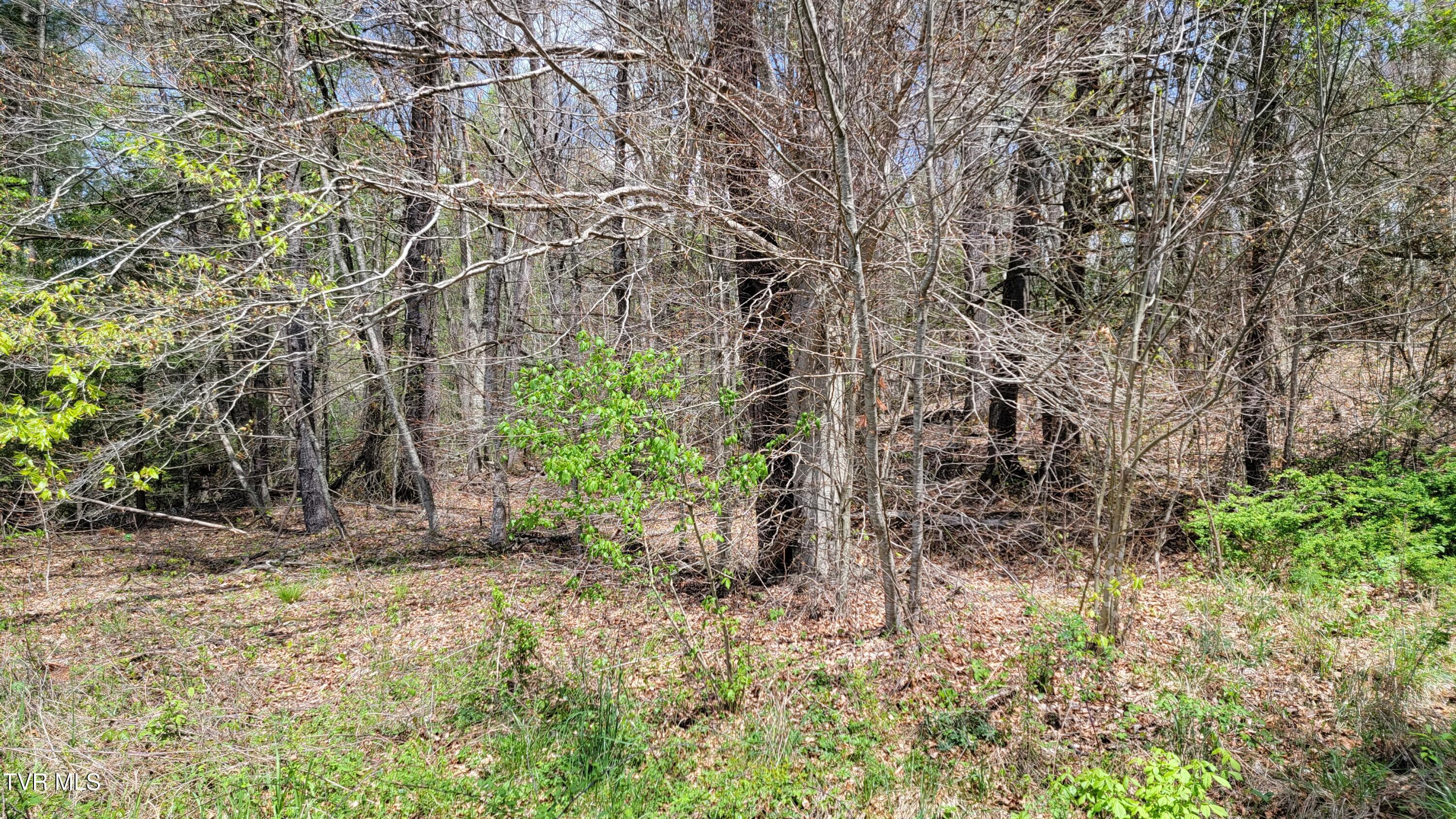 00 E Hillcrest Street, Mountain City, Tennessee image 2