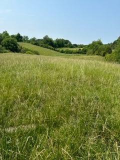 1589 Rocky Hollow Road, Jonesborough, Tennessee image 1