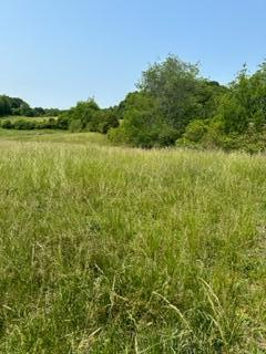 1589 Rocky Hollow Road, Jonesborough, Tennessee image 2