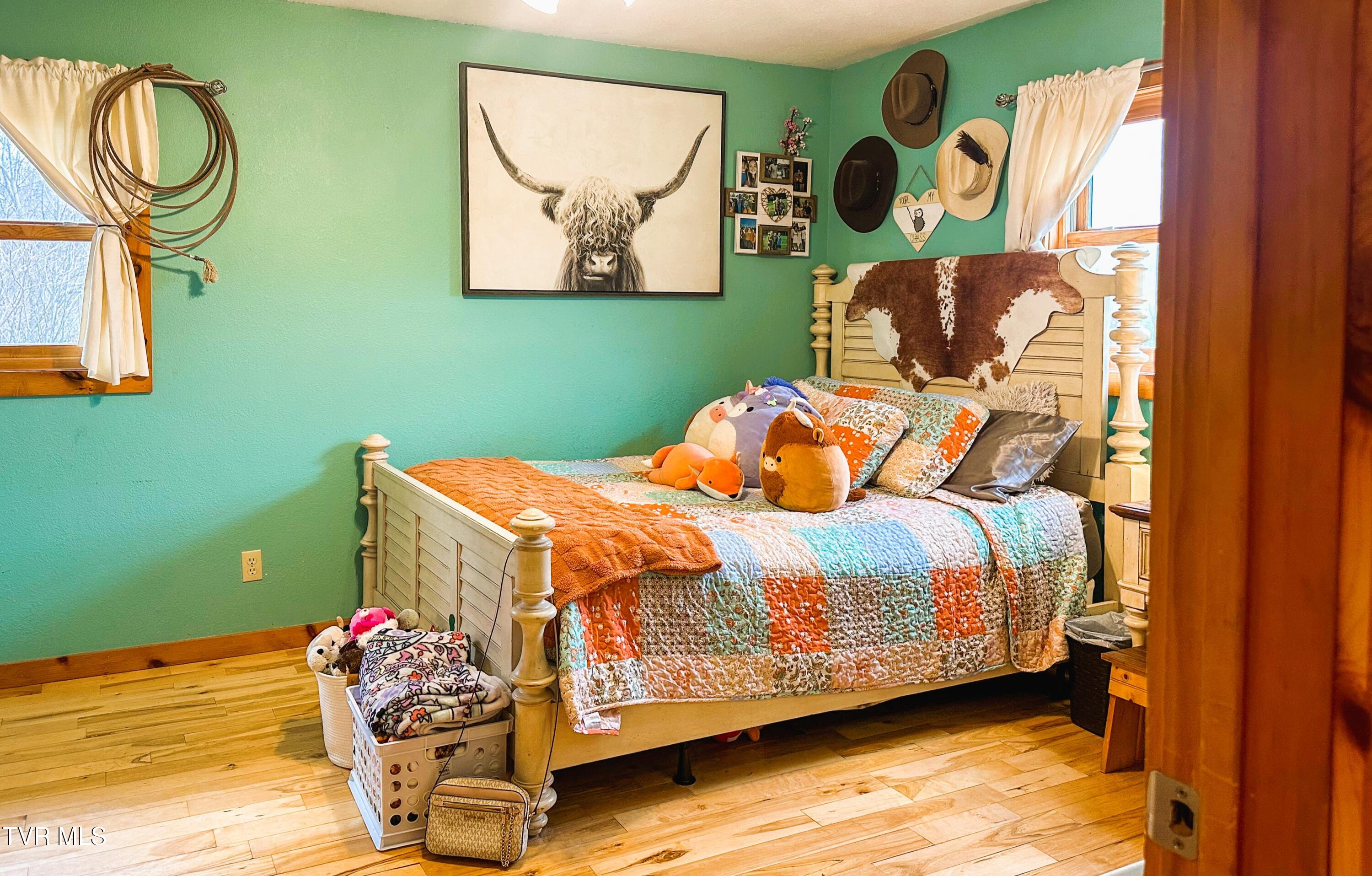 130 Jess Jarrett Road, Roan Mountain, Tennessee image 18