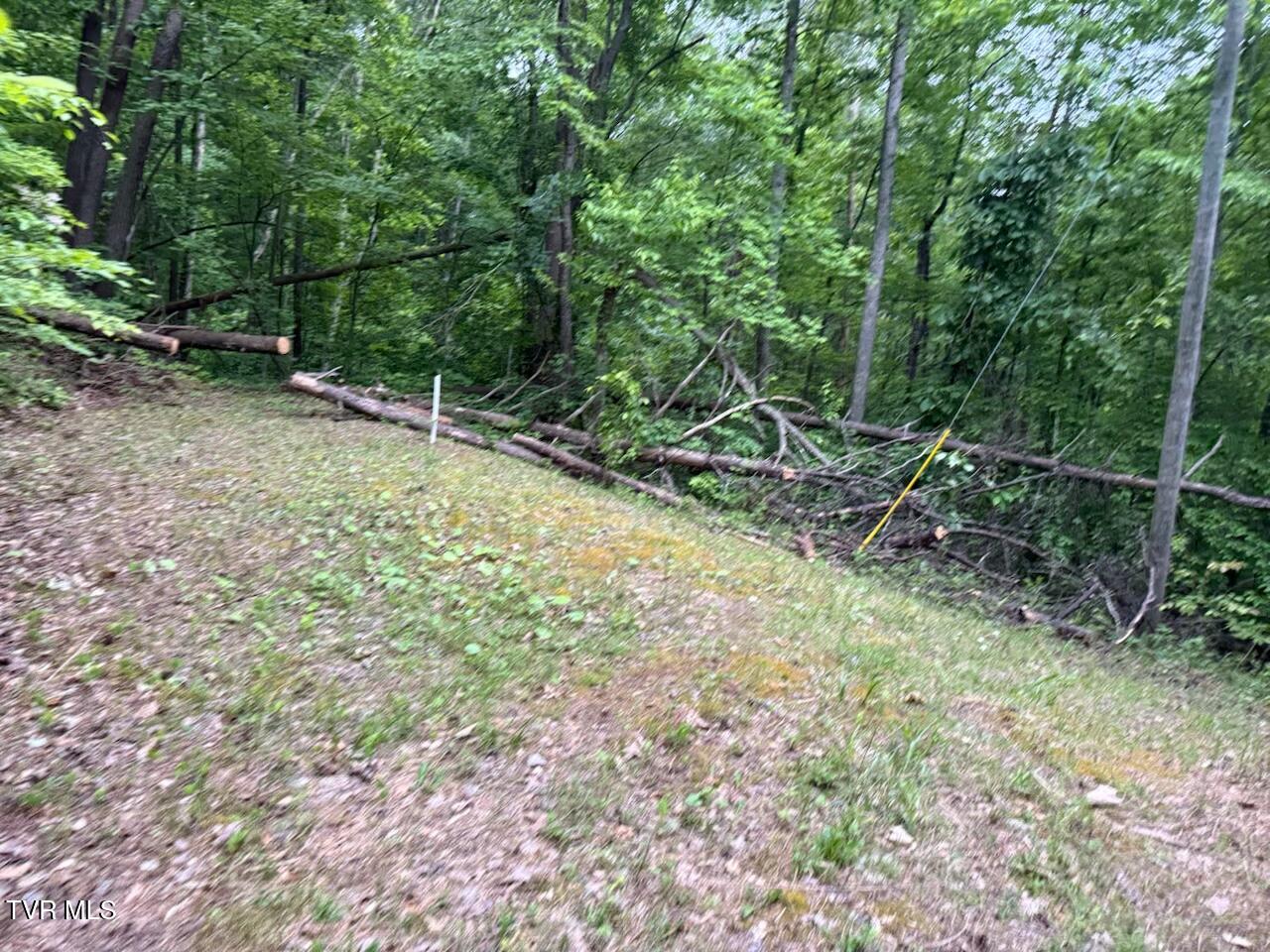 613 Ensor Road, Church Hill, Tennessee image 12