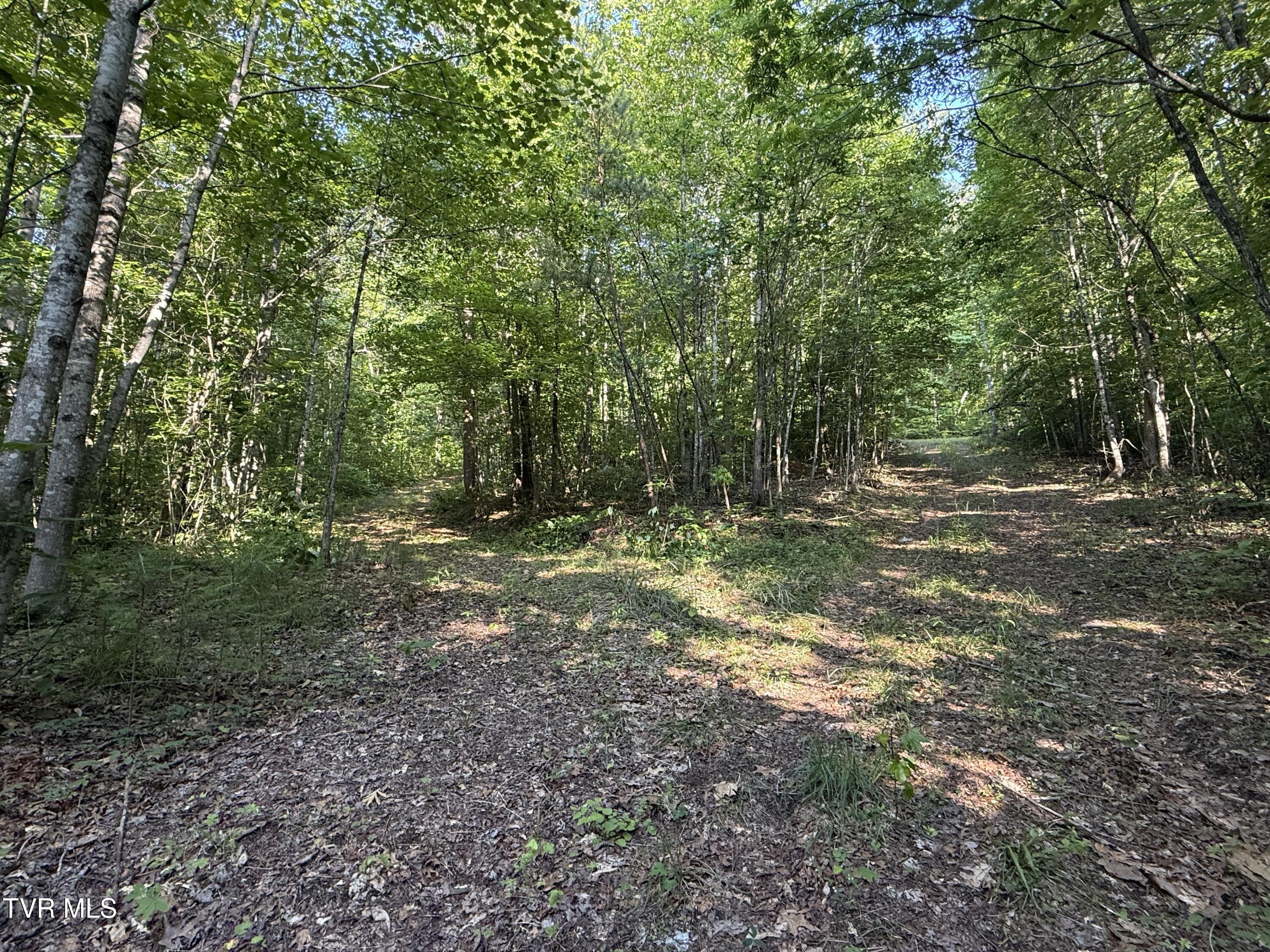 613 Ensor Road, Church Hill, Tennessee image 14
