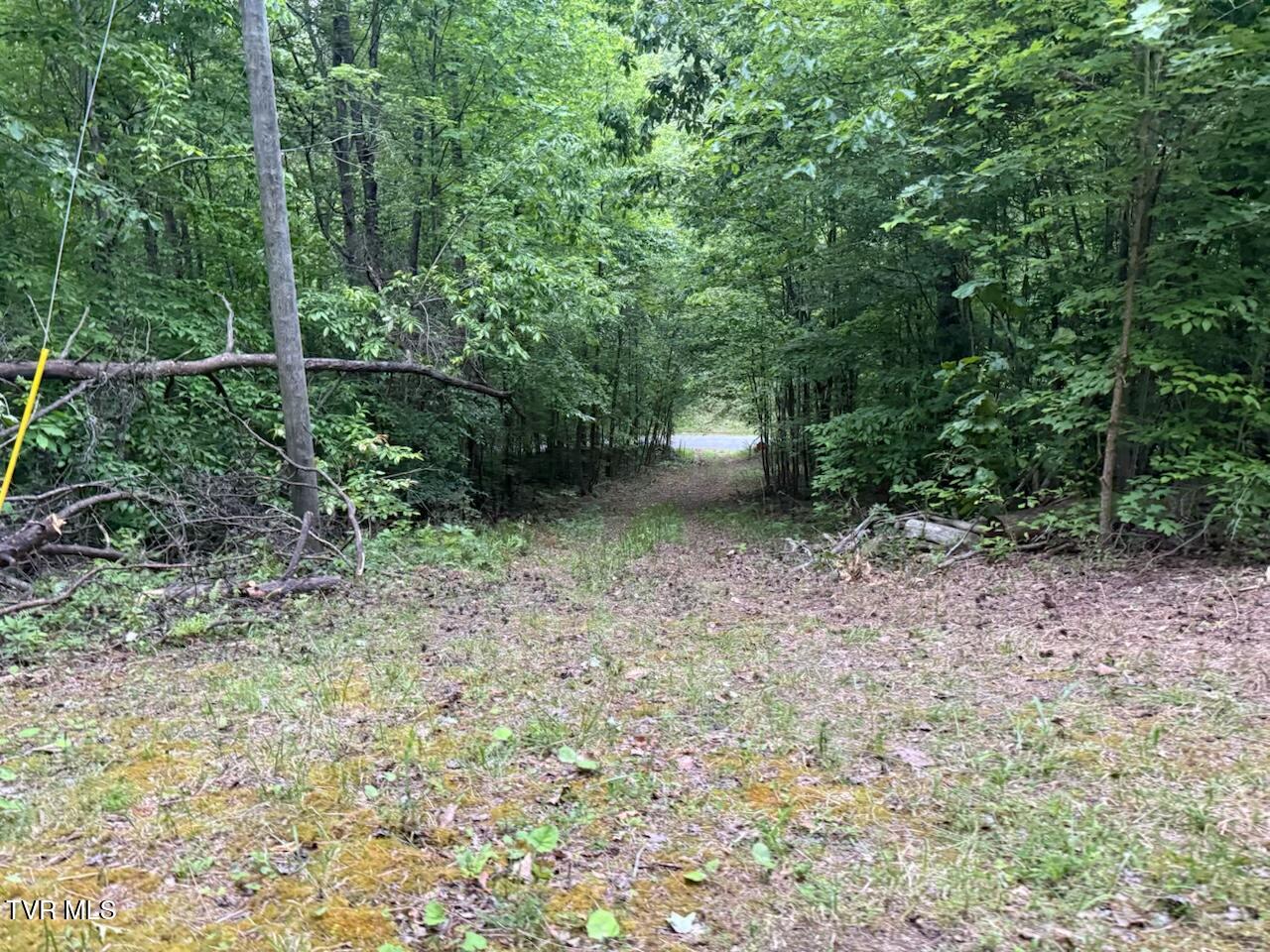 613 Ensor Road, Church Hill, Tennessee image 10