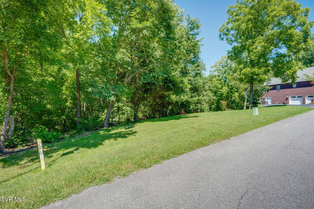 Photo of 0 Burgh Heath Drive #0, Kingsport, TN 37660 (MLS # 9999131)