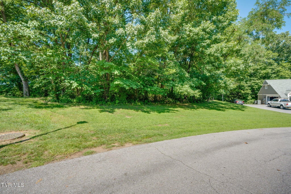 Photo of 0 Burgh Heath Drive #0, Kingsport, TN 37660 (MLS # 9999131)