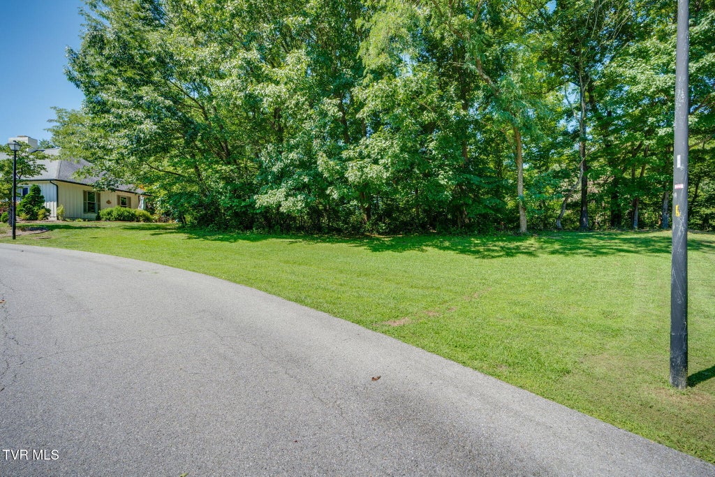 Photo of 0 Burgh Heath Drive #0, Kingsport, TN 37660 (MLS # 9999131)
