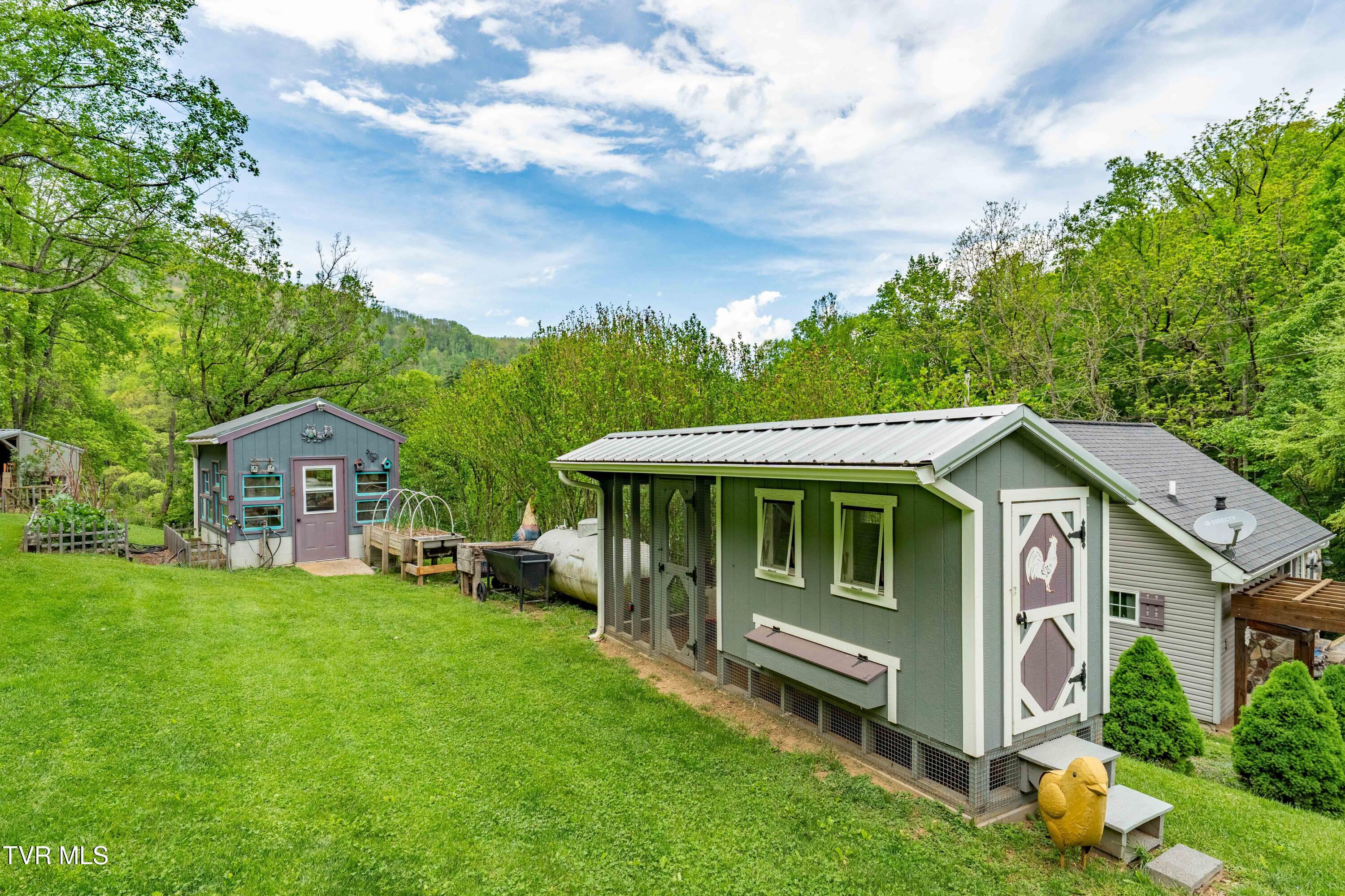 150 Rice Road, Flag Pond, Tennessee image 43