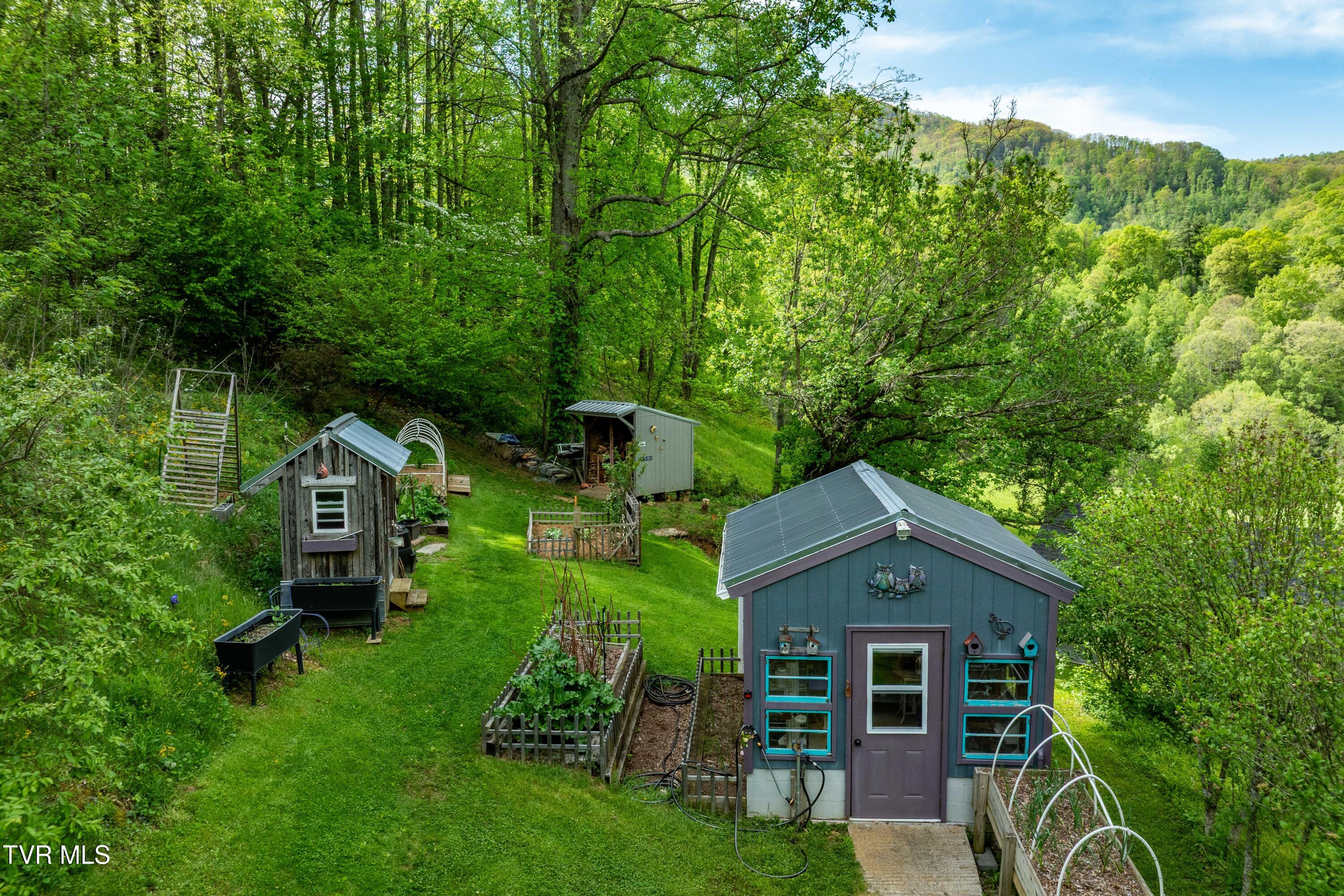 150 Rice Road, Flag Pond, Tennessee image 20