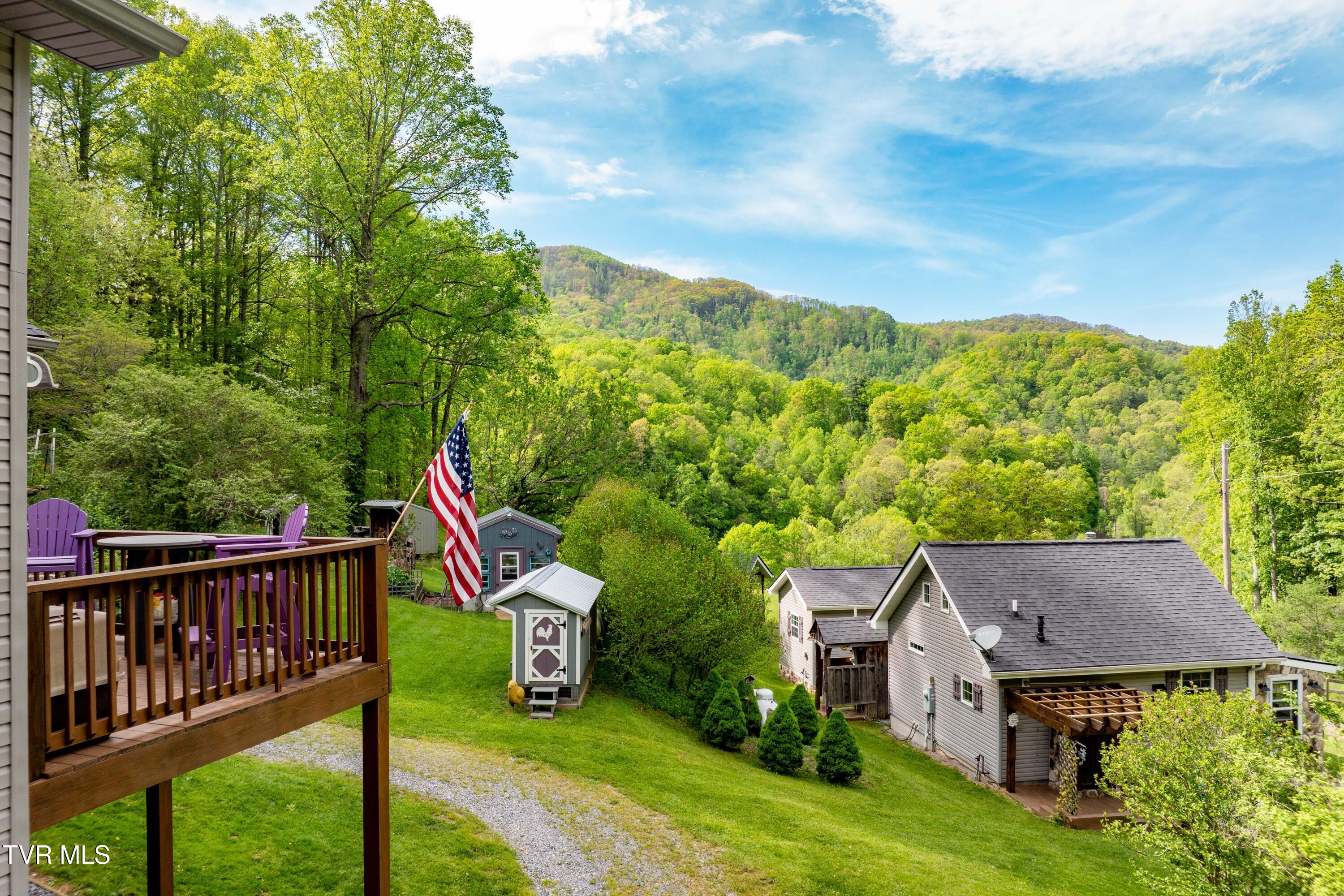 150 Rice Road, Flag Pond, Tennessee image 2