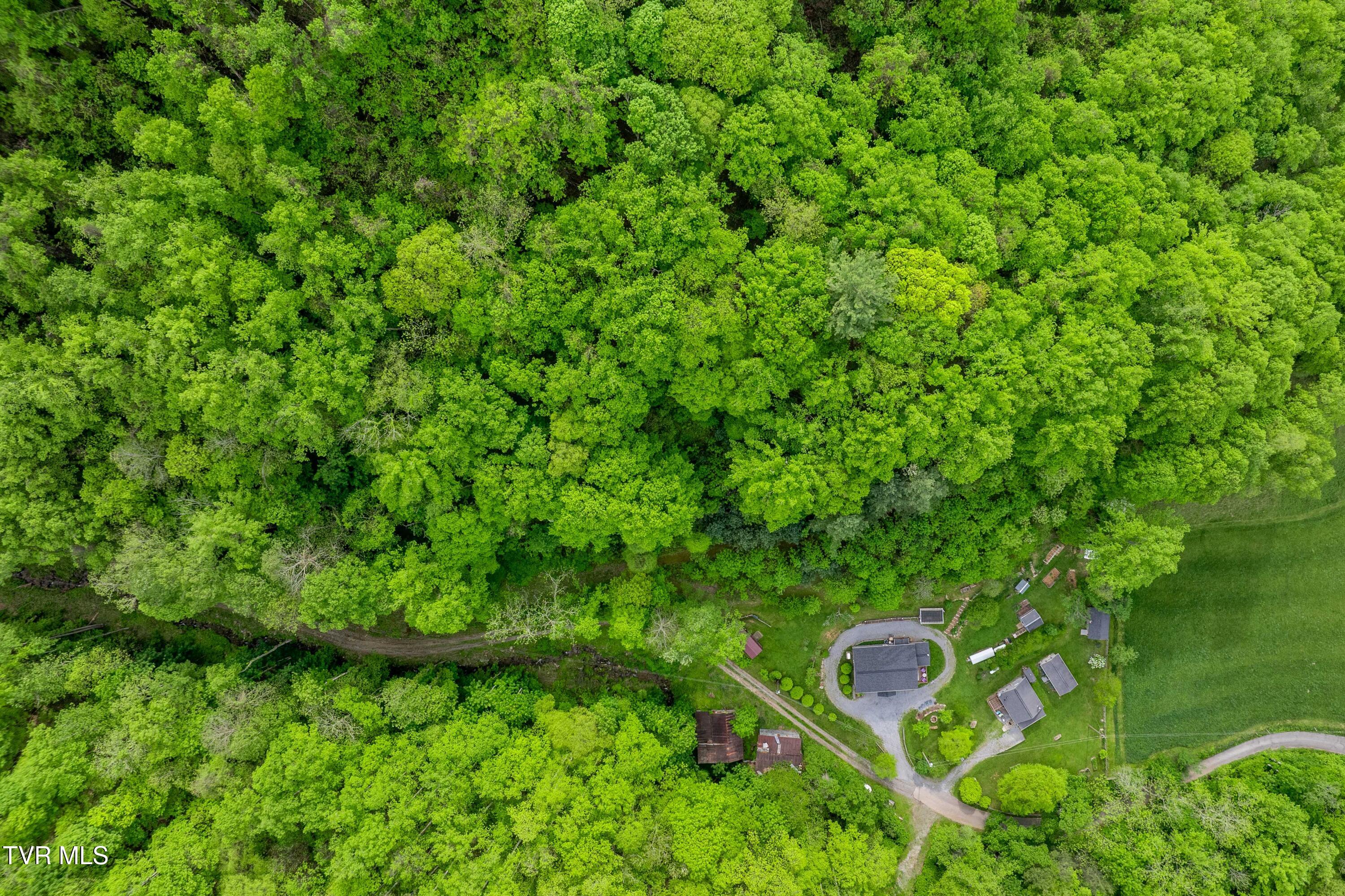 150 Rice Road, Flag Pond, Tennessee image 6