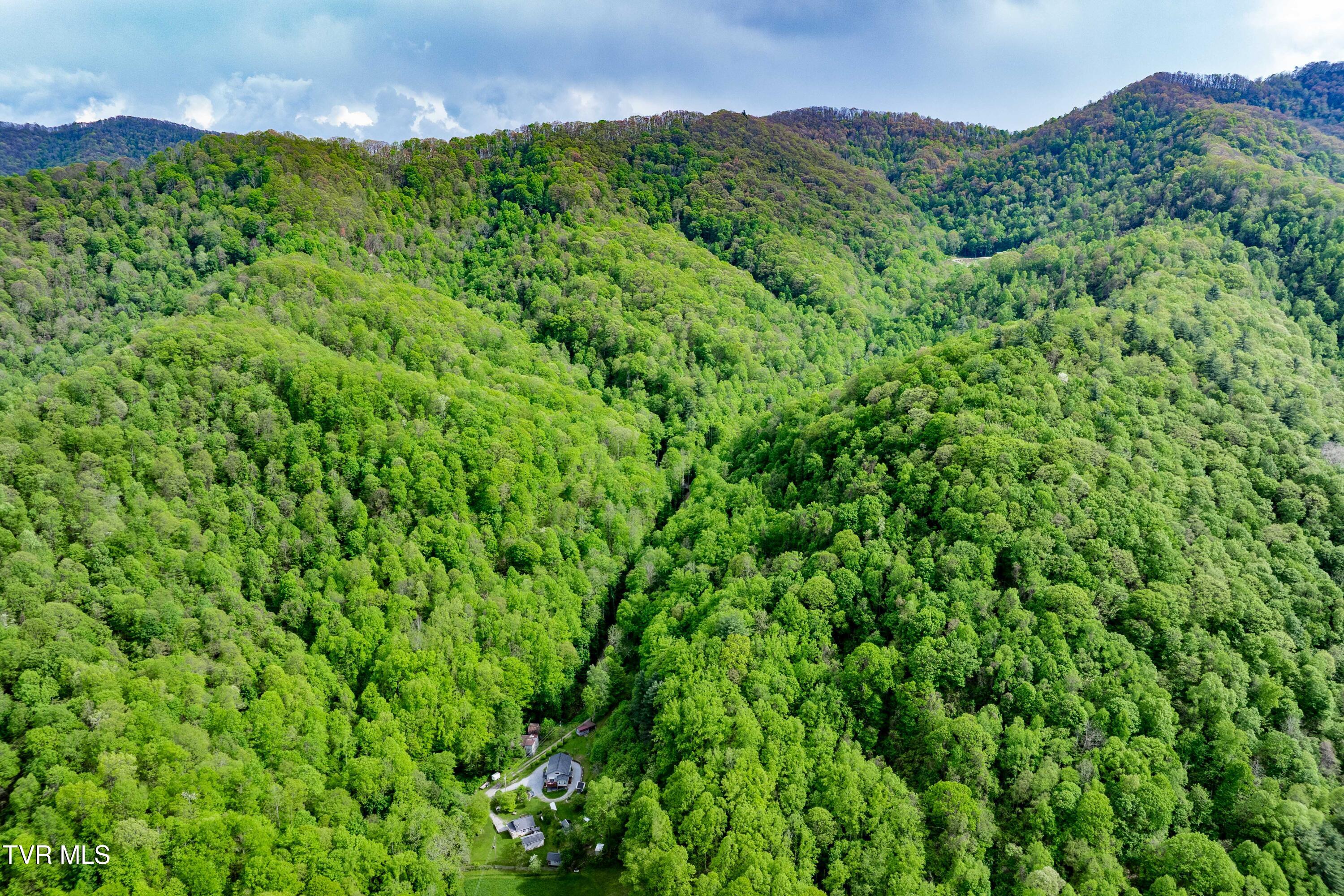 150 Rice Road, Flag Pond, Tennessee image 8