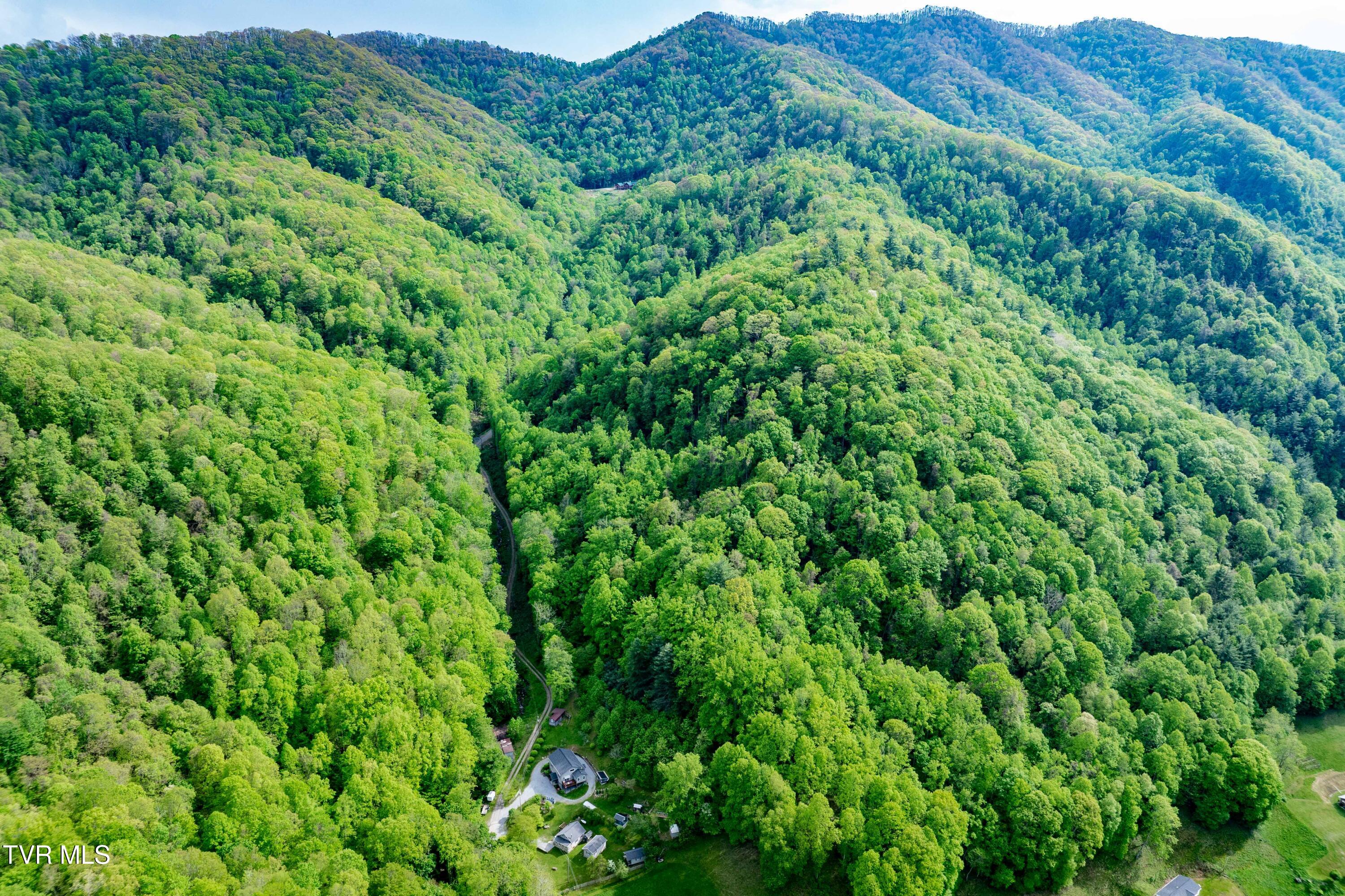 150 Rice Road, Flag Pond, Tennessee image 10