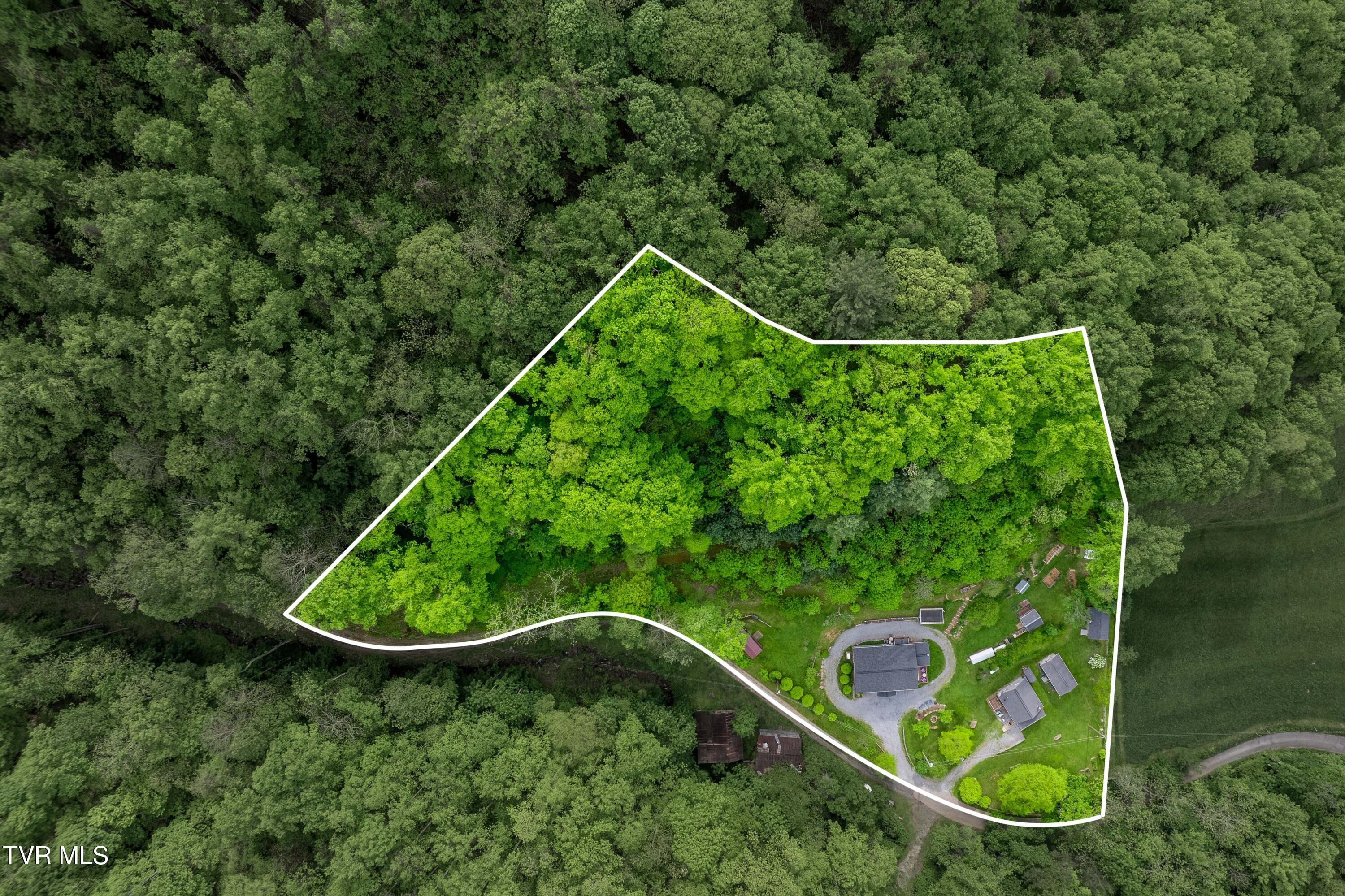 150 Rice Road, Flag Pond, Tennessee image 5