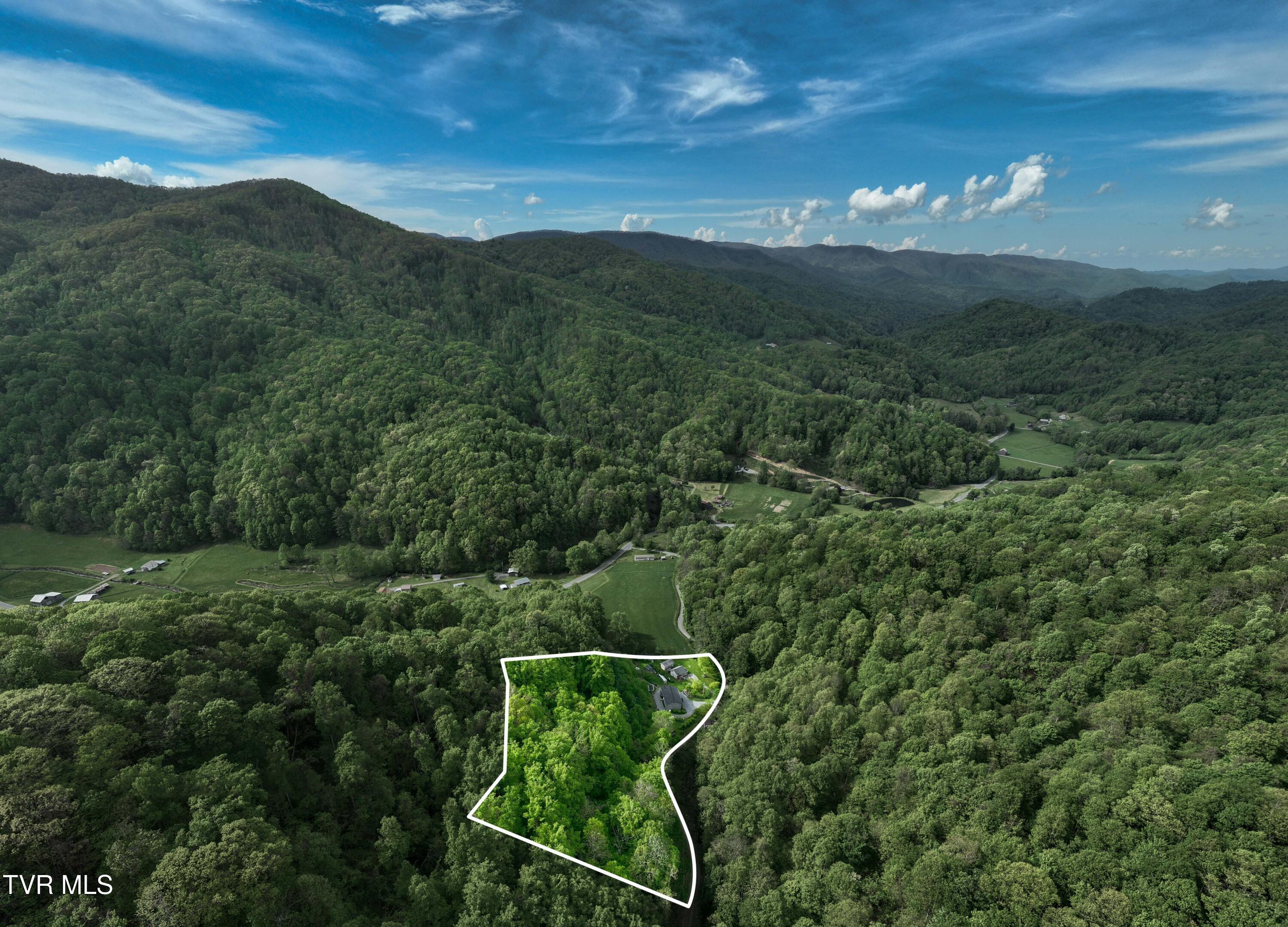 150 Rice Road, Flag Pond, Tennessee image 9