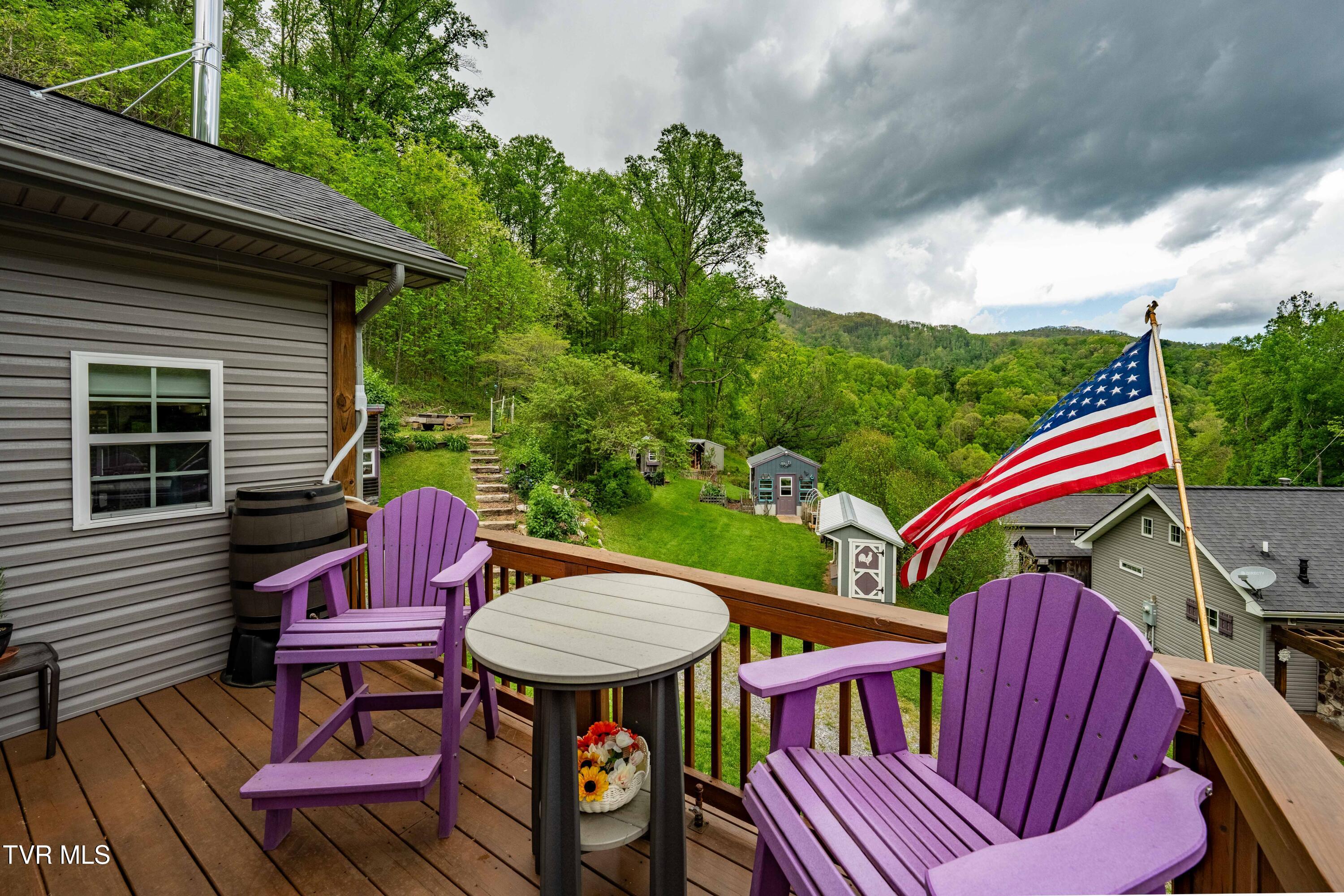 150 Rice Road, Flag Pond, Tennessee image 30