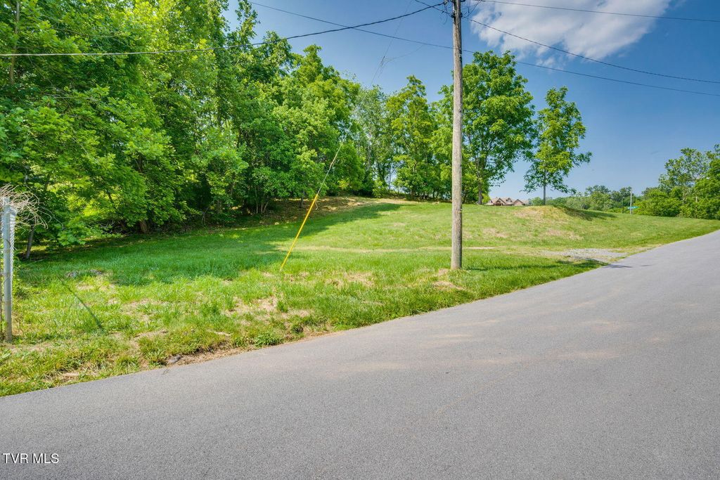 Photo of 178 Warrior Falls Drive, Kingsport, TN 37664 (MLS # 9988178)