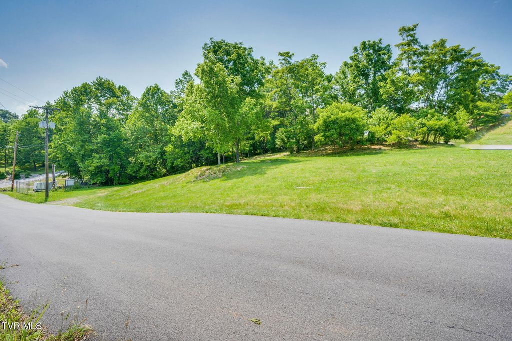 Photo of 178 Warrior Falls Drive, Kingsport, TN 37664 (MLS # 9988178)