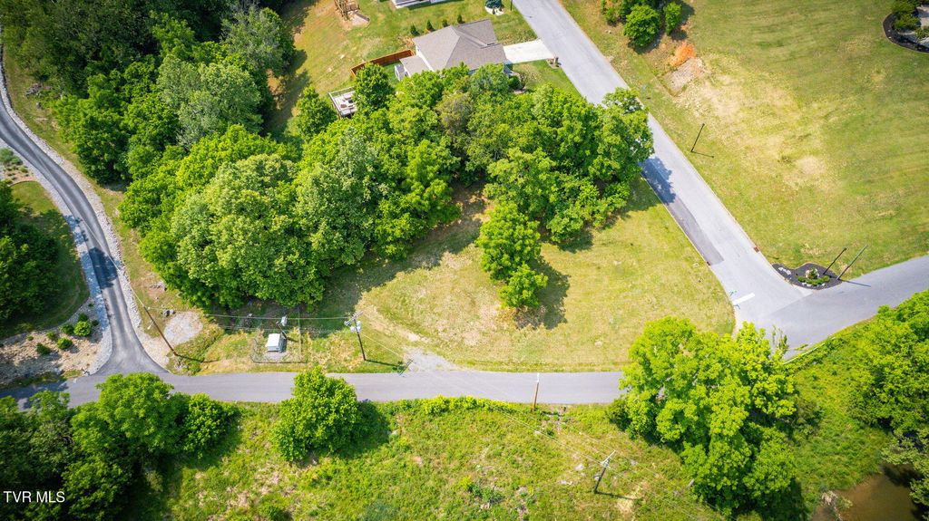 Photo of 178 Warrior Falls Drive, Kingsport, TN 37664 (MLS # 9988178)