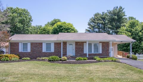 Photo of 359 Bellehaven Drive, Bristol, VA 24201 (MLS # 9995647)