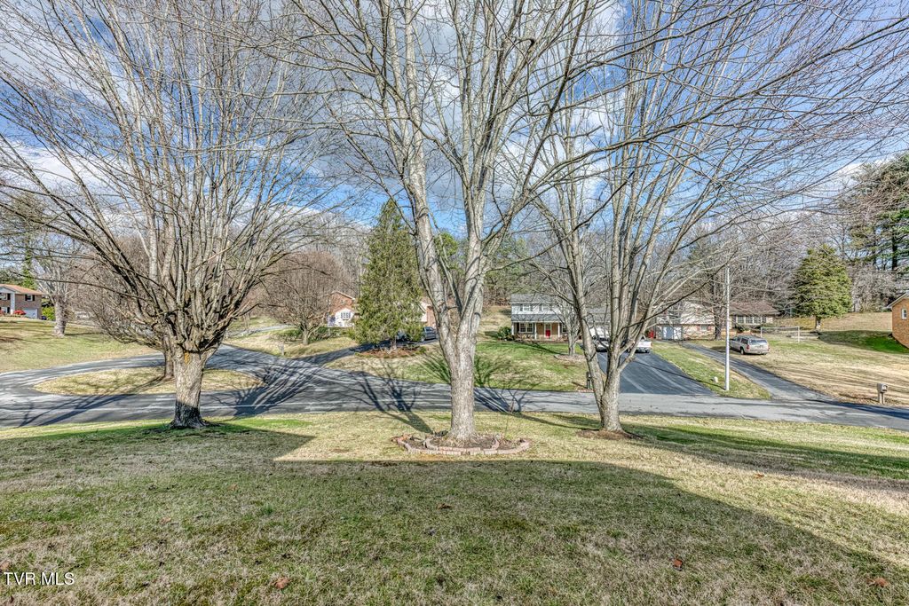 Photo of 15 Madison Court, Johnson City, TN 37601 (MLS # 9991470)