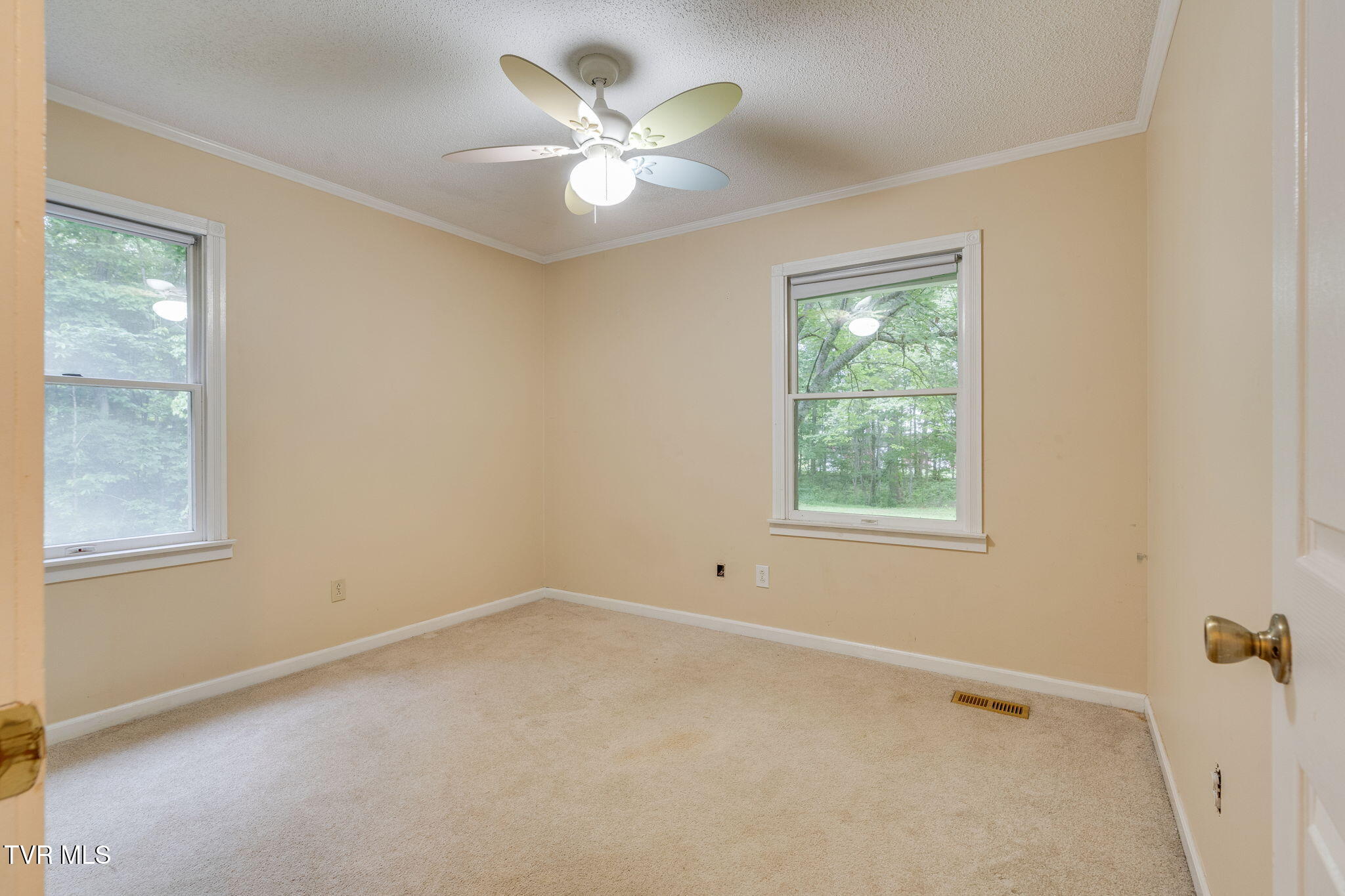631 Bowmantown Road, Telford, Tennessee image 23