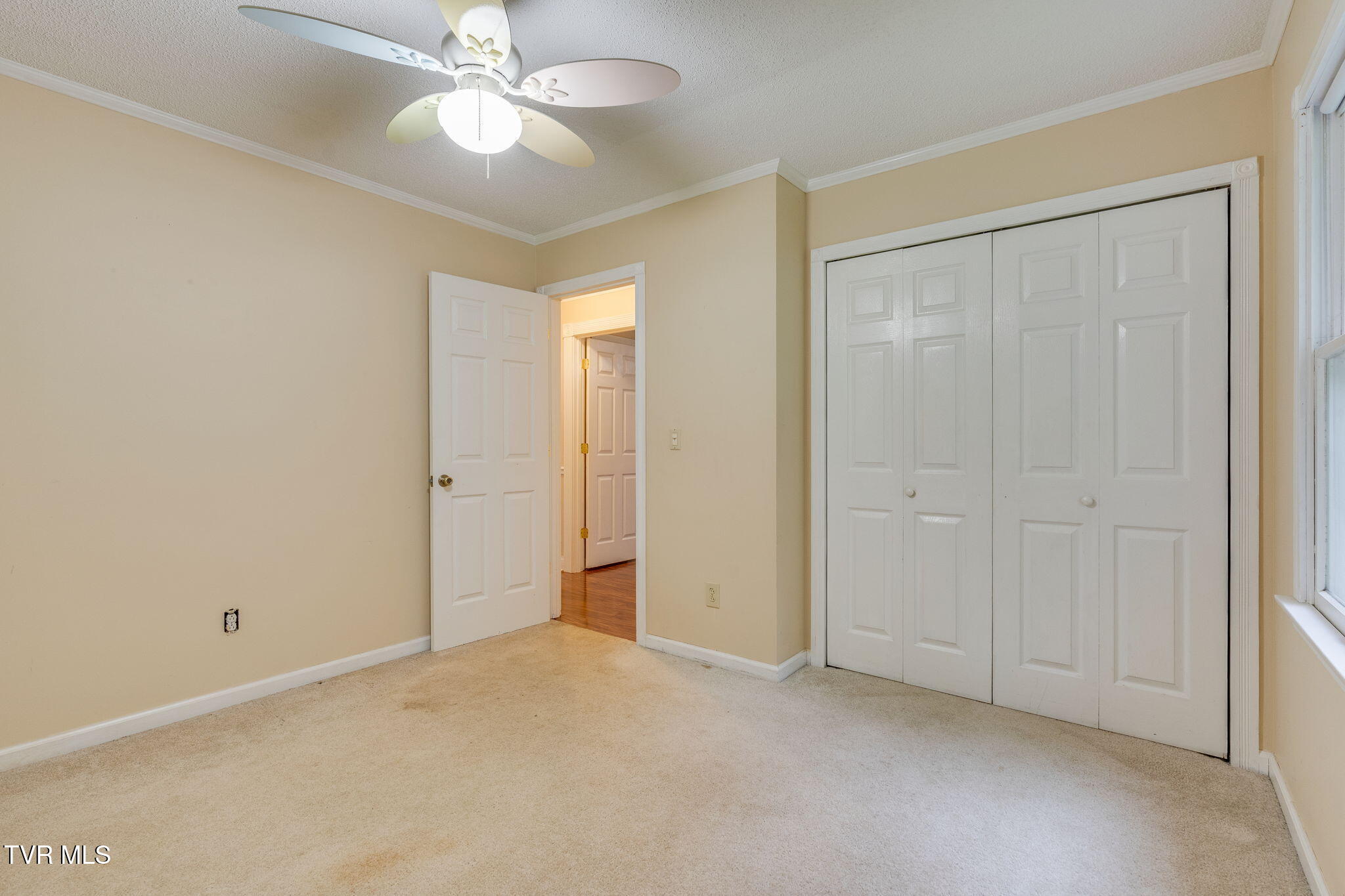 631 Bowmantown Road, Telford, Tennessee image 25