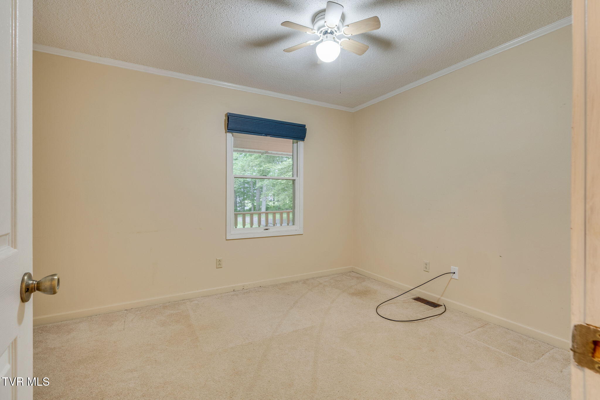 631 Bowmantown Road, Telford, Tennessee image 27