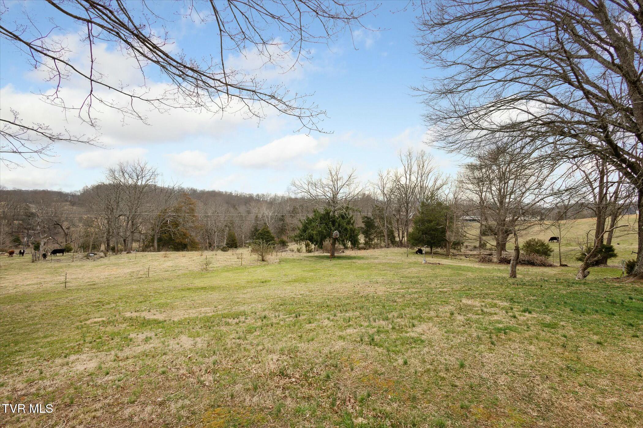 1245 Muddy Creek Road, Piney Flats, Tennessee image 42
