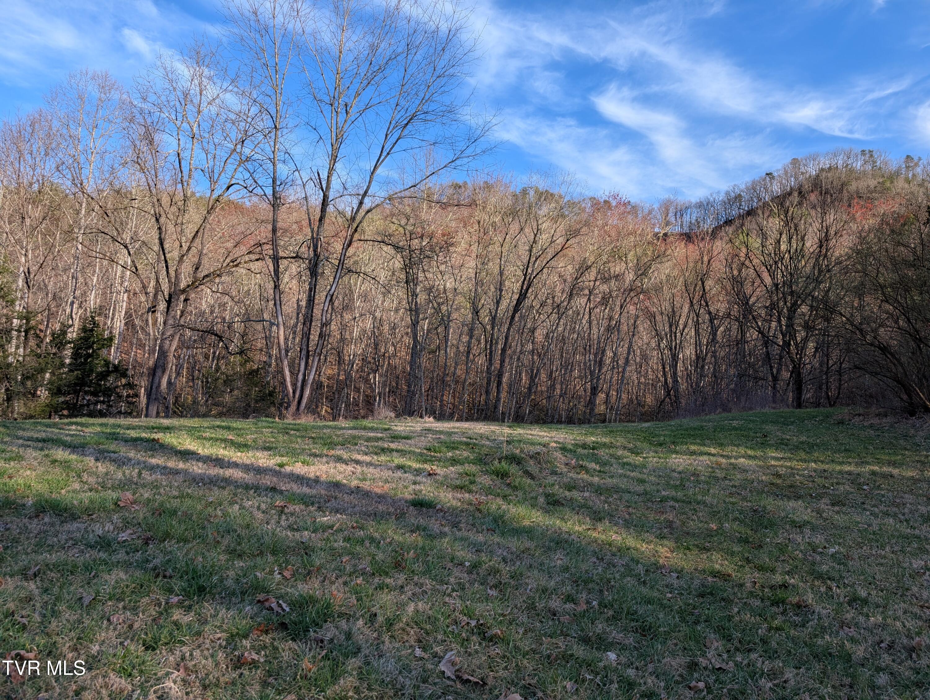 Tbd A P Carter Highway, Gate City, Virginia image 1