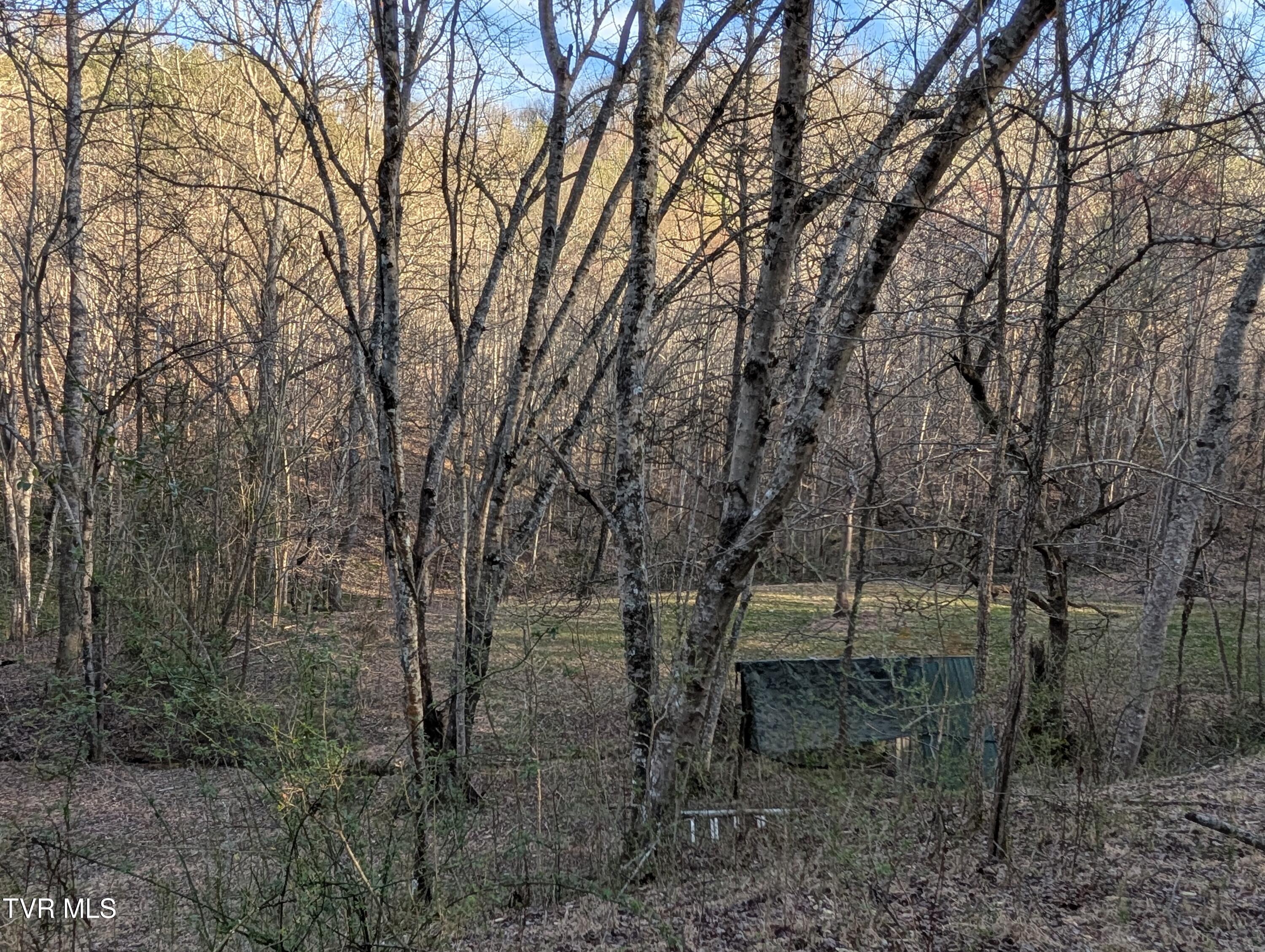 Tbd A P Carter Highway, Gate City, Virginia image 6