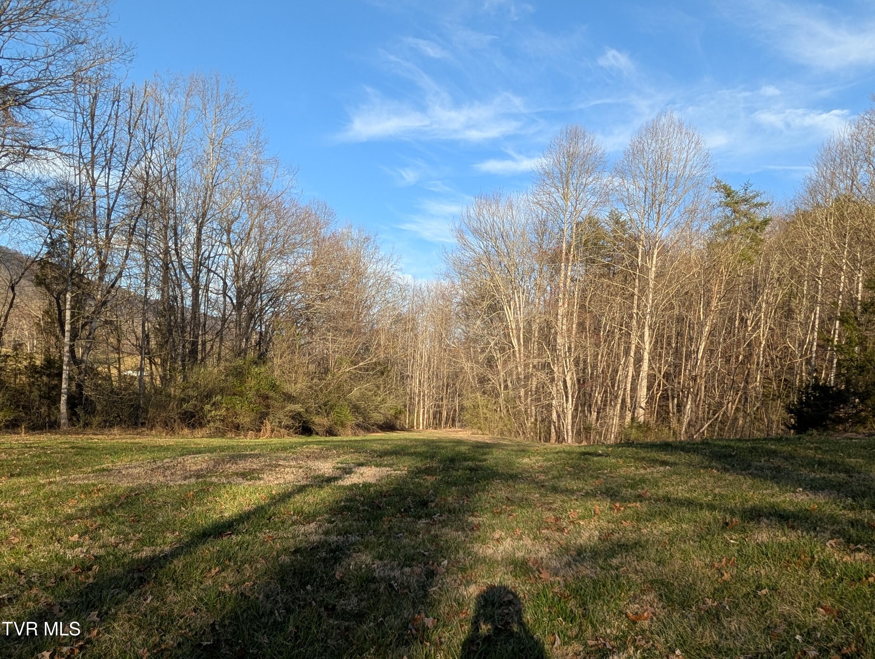Tbd A P Carter Highway, Gate City, Virginia image 4