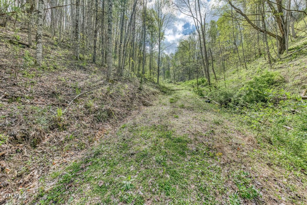 Photo of Tbd T Greer Road, Mountain City, TN 37683 (MLS # 9994189)