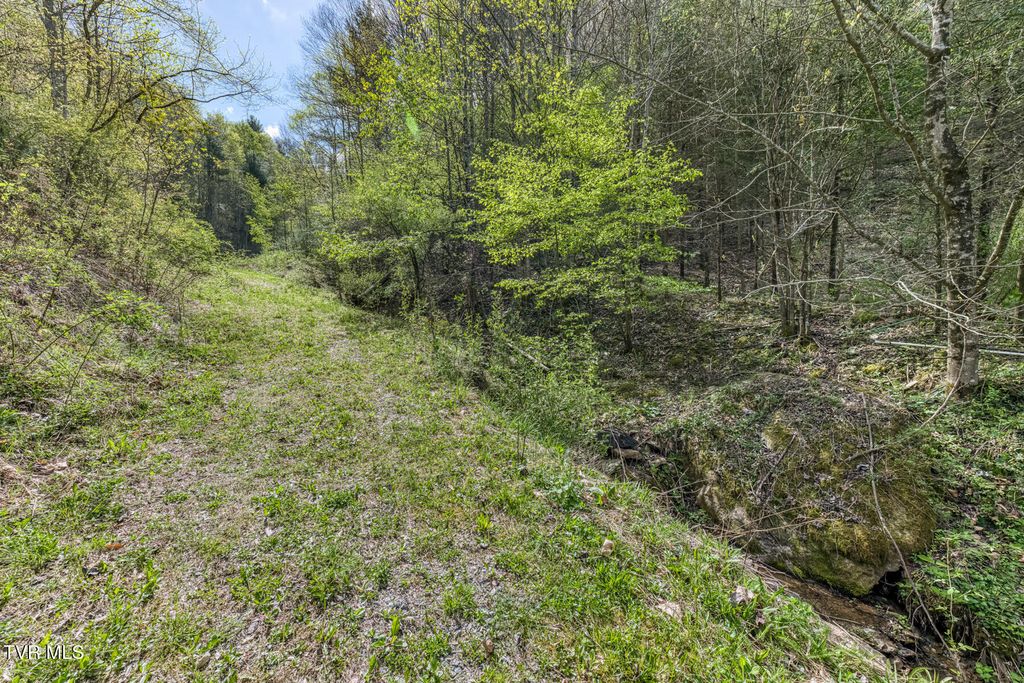 Photo of Tbd T Greer Road, Mountain City, TN 37683 (MLS # 9994189)