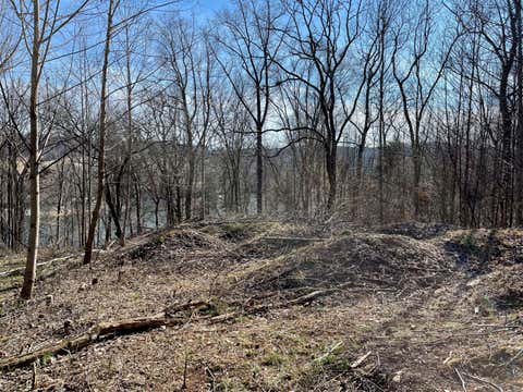 Vacant Land For Sale - 1084 Biltmore Place<br/> Piney Flats, TN 37686