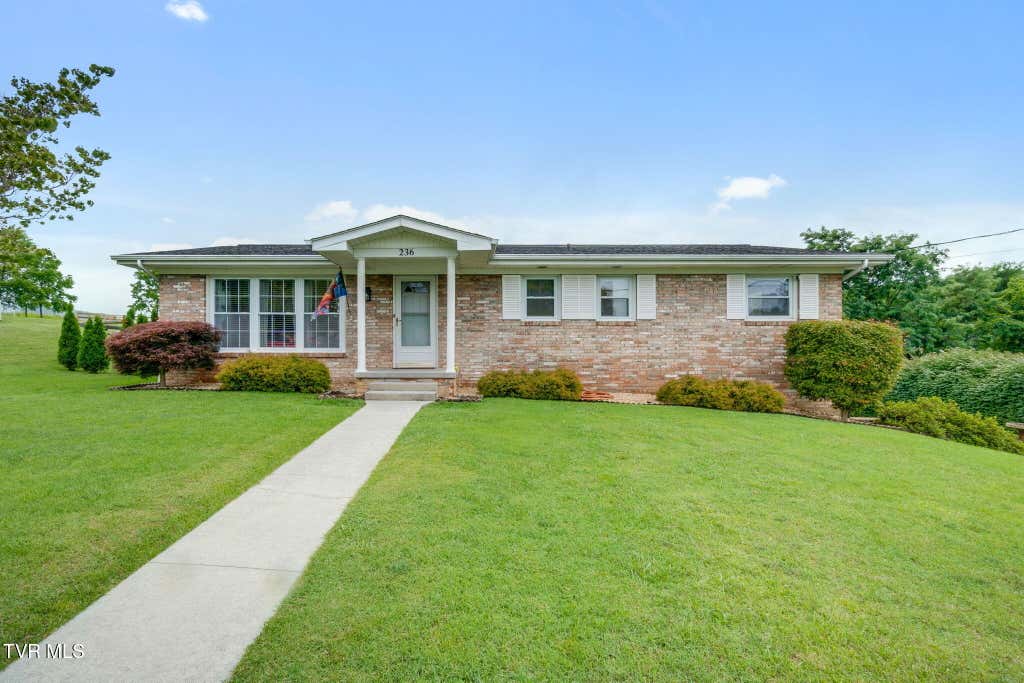 Photo of 236 Minuteman Drive, Bluff City, TN 37618 (MLS # 9997366)