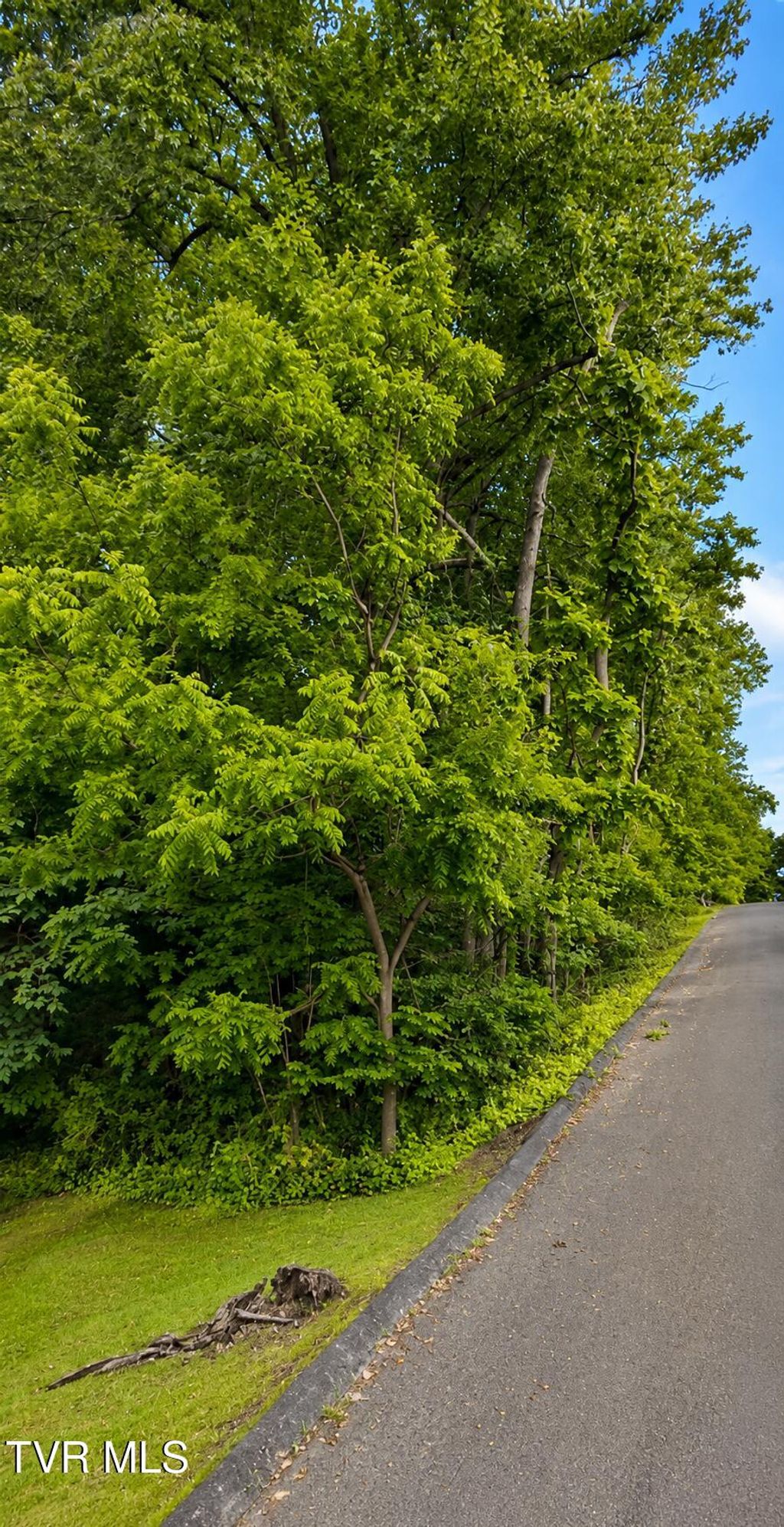 Photo of 1511 Hillside Avenue, Bristol, TN 37620 (MLS # 9995858)