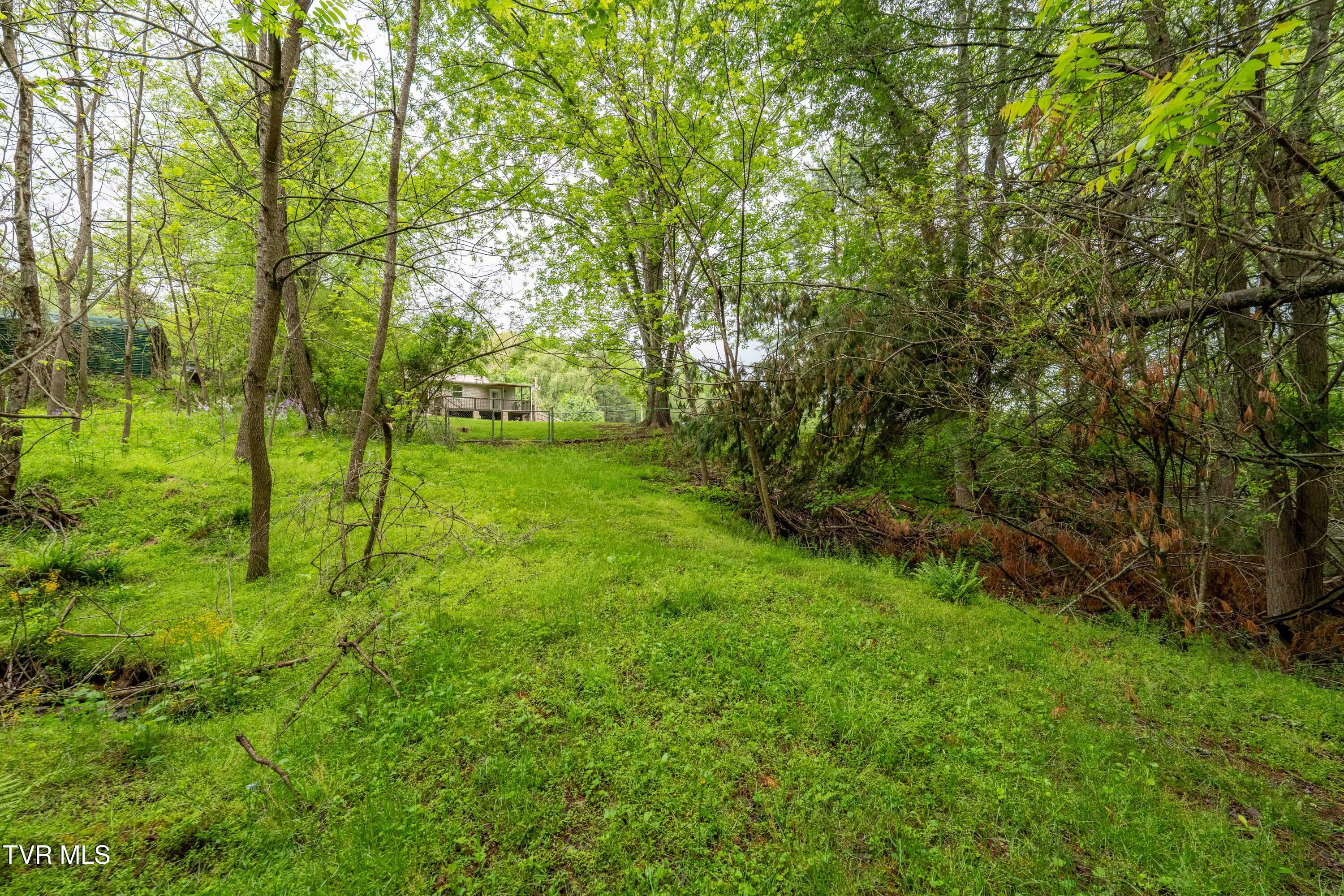 433 Shoun Street, Mountain City, Tennessee image 25