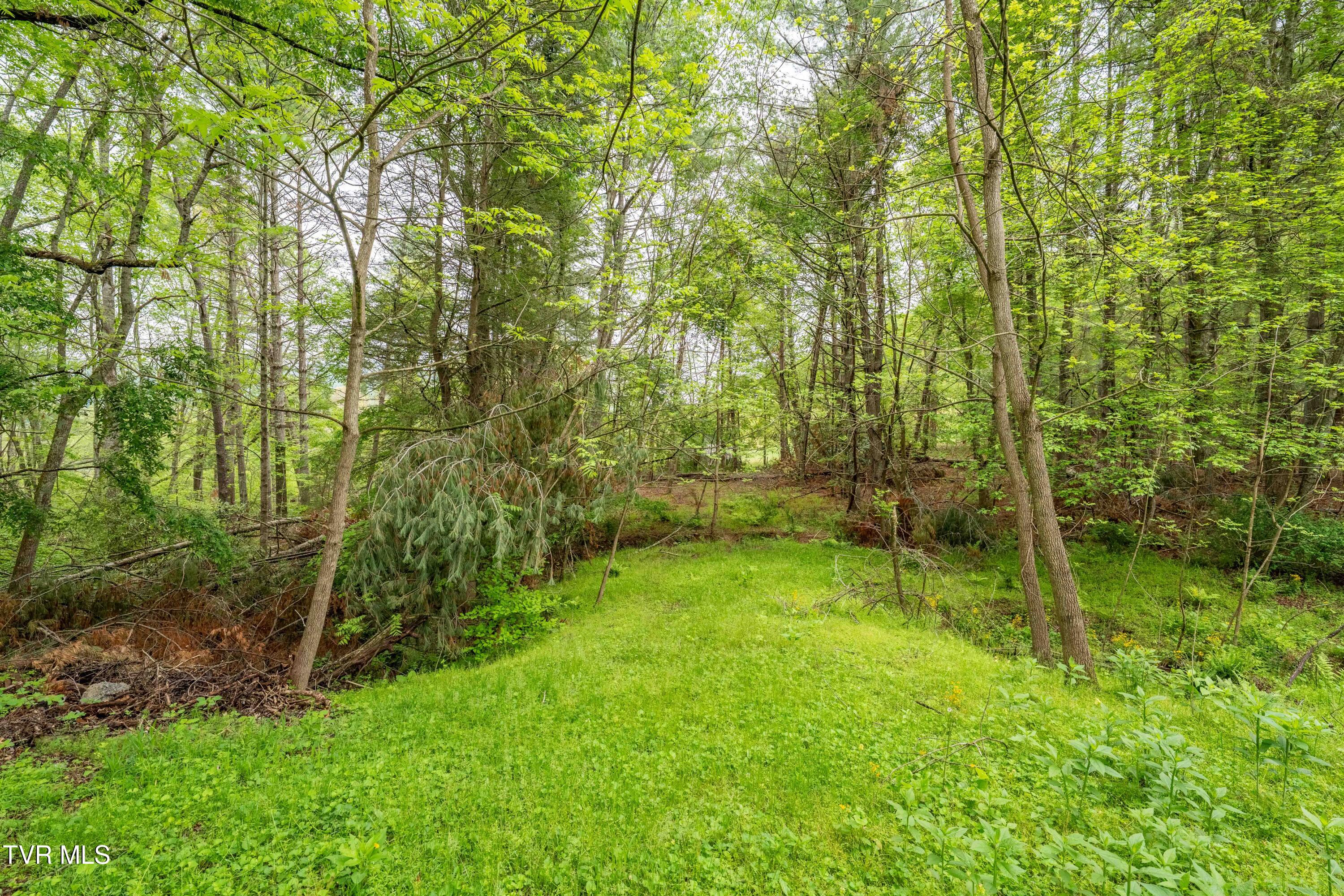 433 Shoun Street, Mountain City, Tennessee image 22
