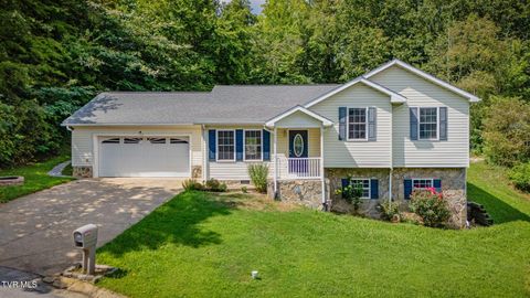 Photo of 108 Plymouth Hill, Greeneville, TN 37743 (MLS # 9993688)