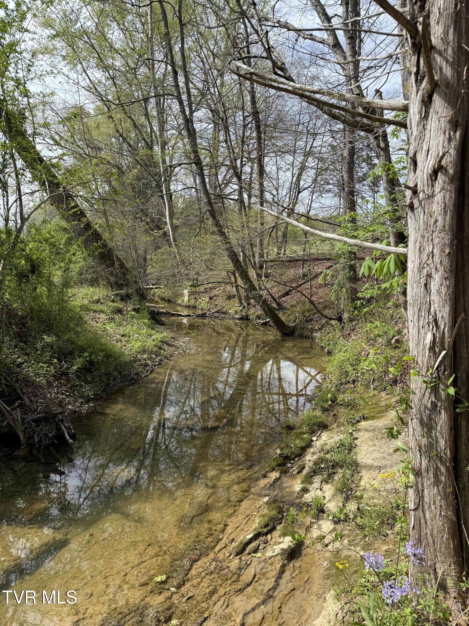 887 Berry Road, Bulls Gap, Tennessee image 33