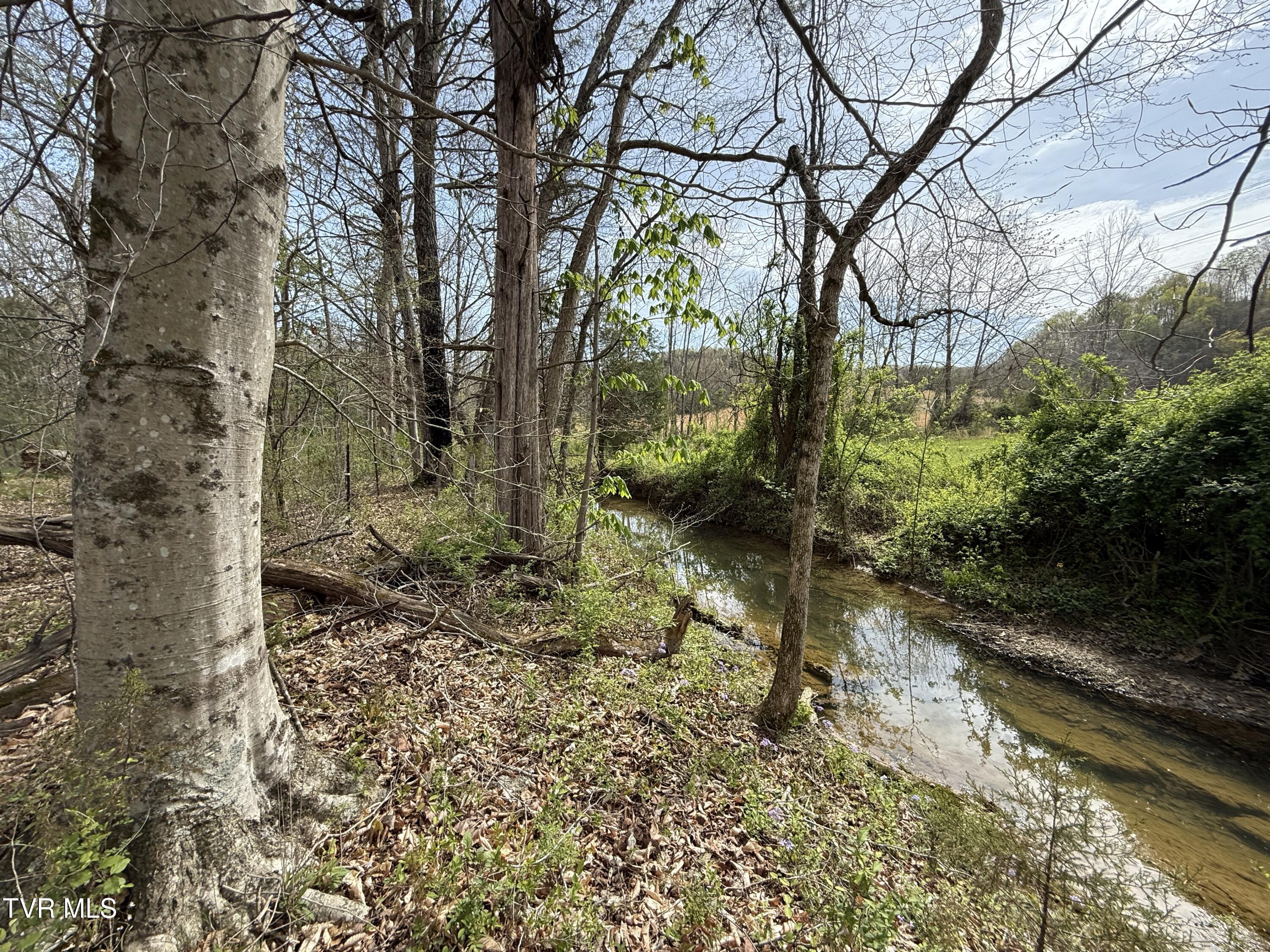 887 Berry Road, Bulls Gap, Tennessee image 40