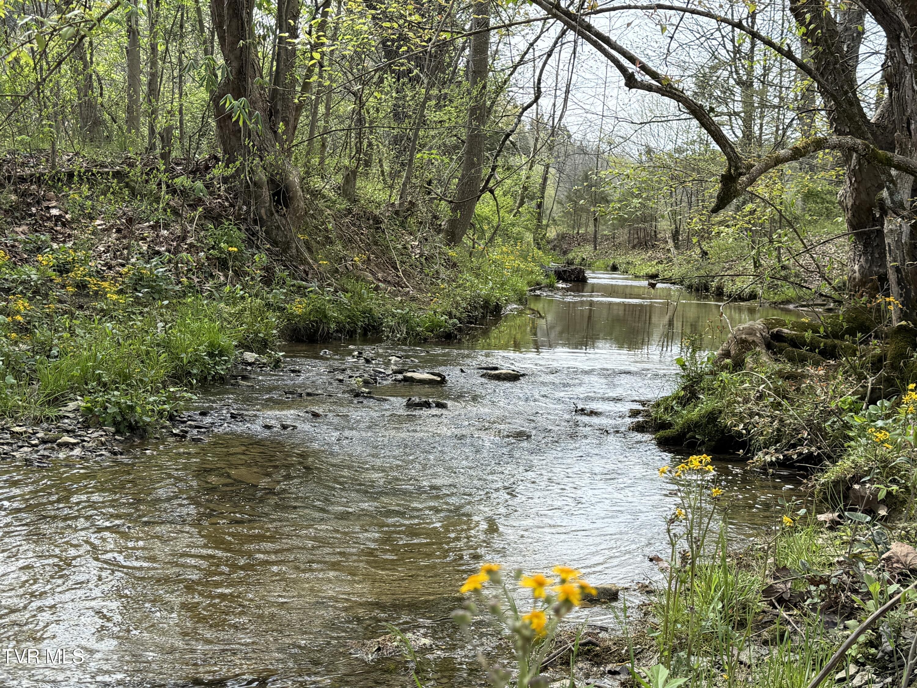 887 Berry Road, Bulls Gap, Tennessee image 43