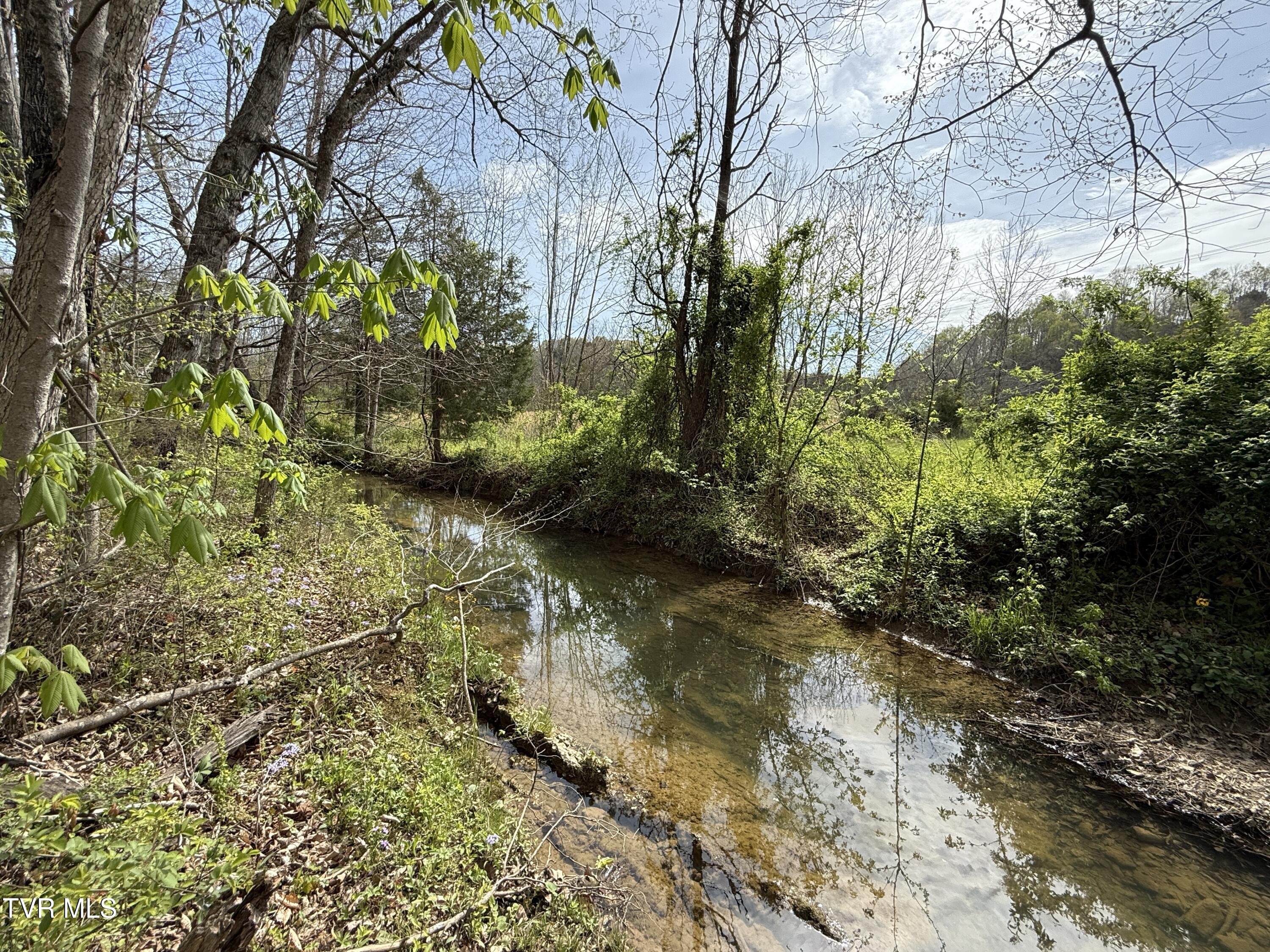 887 Berry Road, Bulls Gap, Tennessee image 36