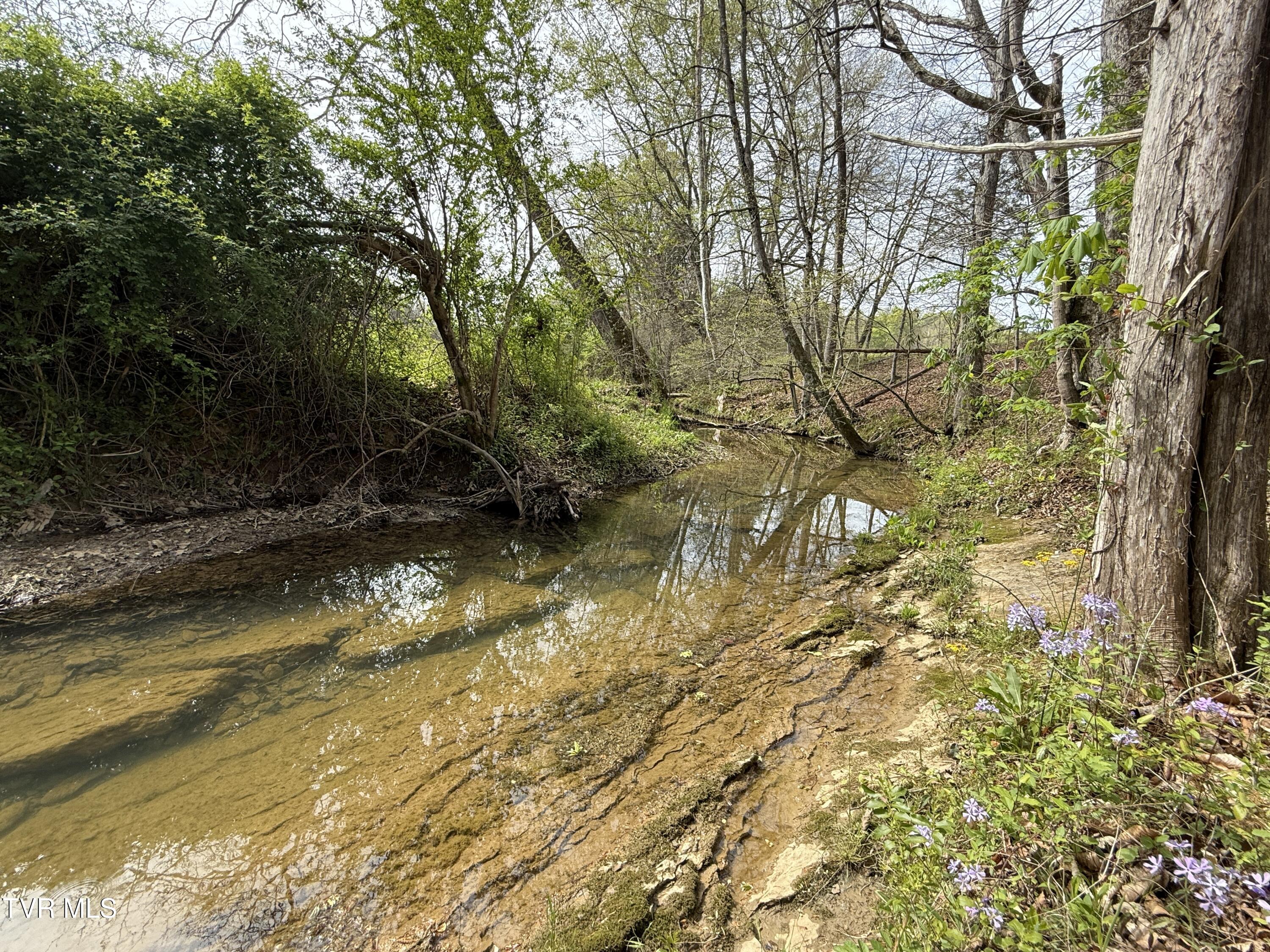 887 Berry Road, Bulls Gap, Tennessee image 38