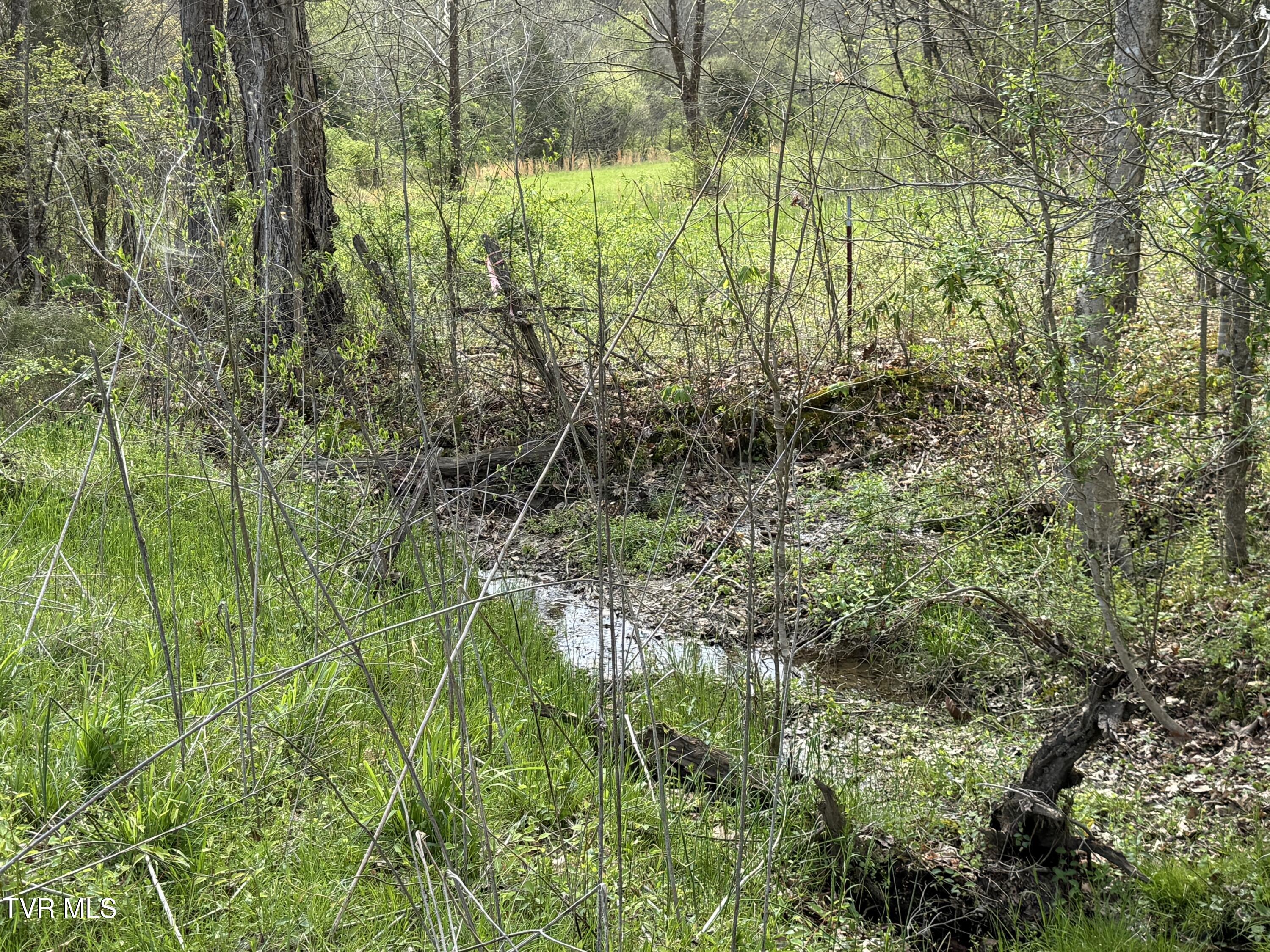887 Berry Road, Bulls Gap, Tennessee image 41