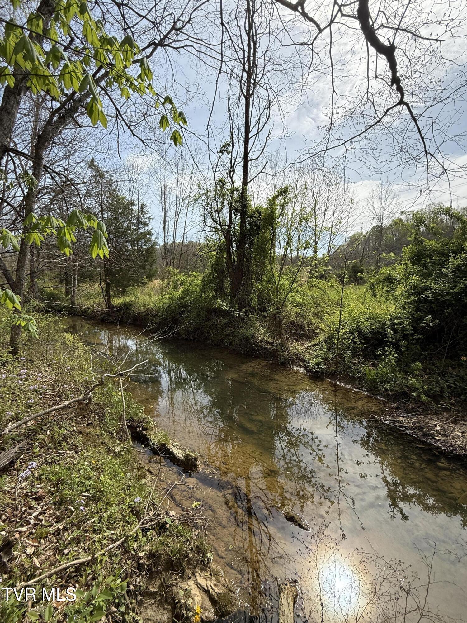 887 Berry Road, Bulls Gap, Tennessee image 35