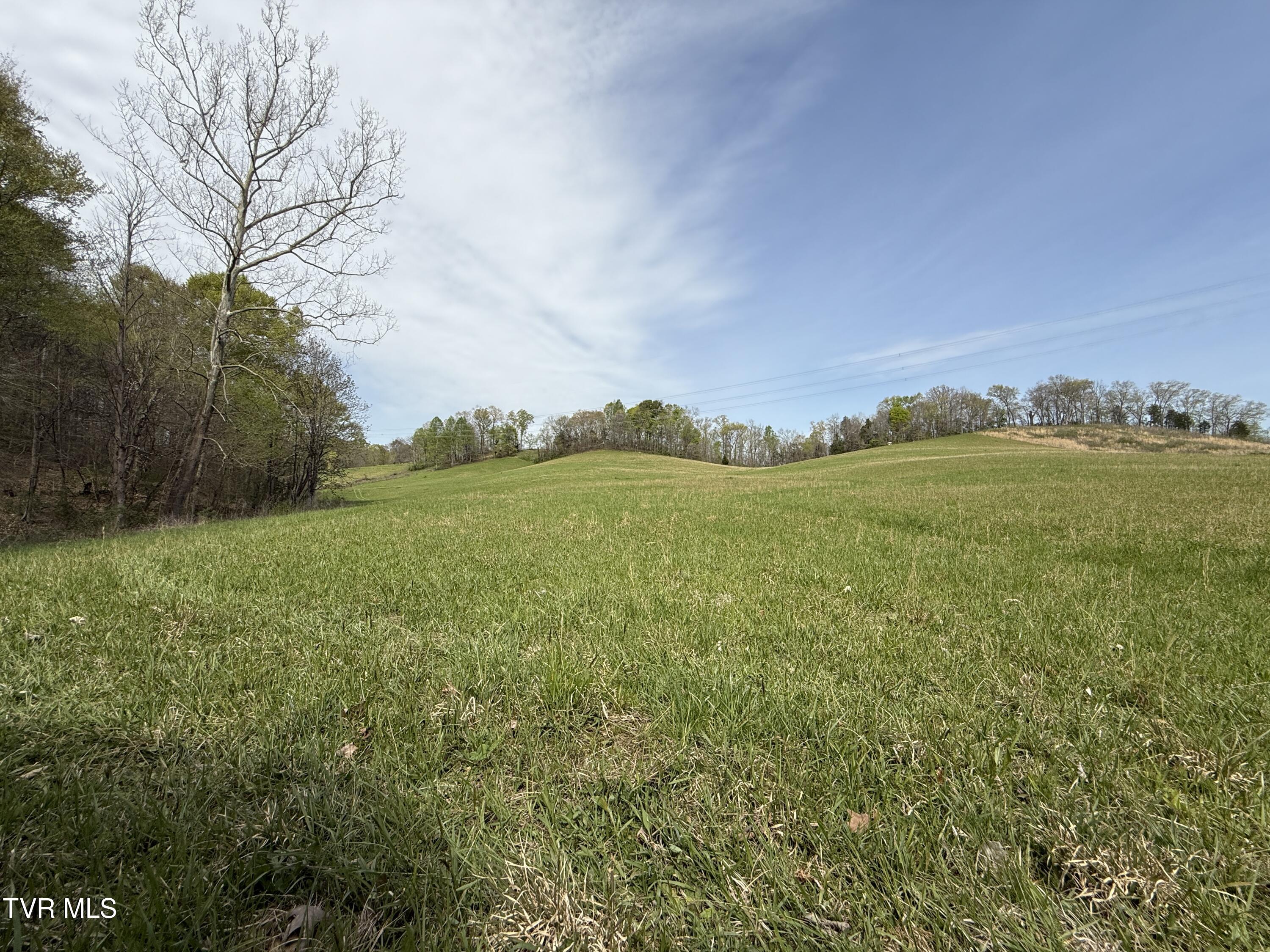 887 Berry Road, Bulls Gap, Tennessee image 46