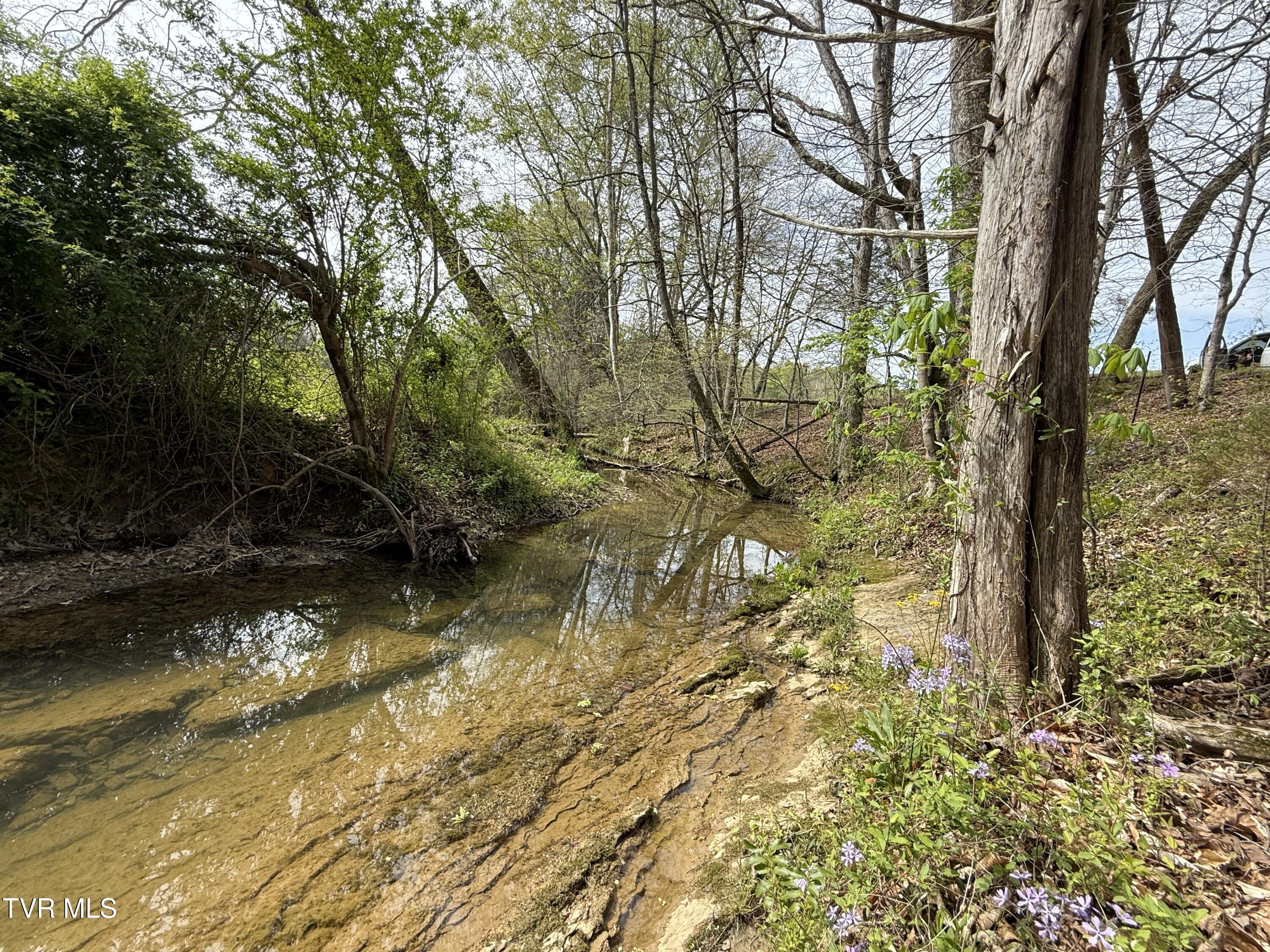 887 Berry Road, Bulls Gap, Tennessee image 37